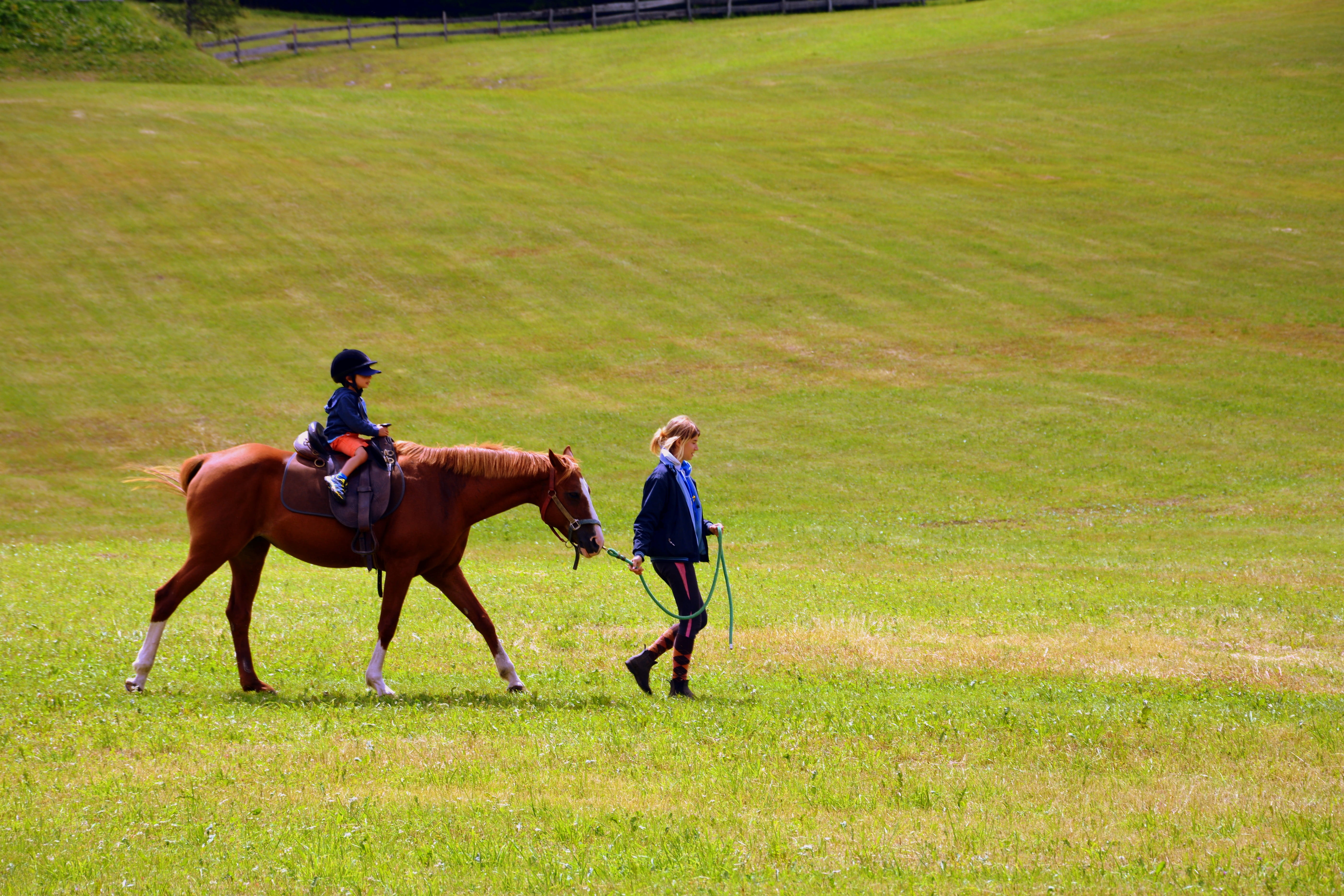outdoors, people, activity, child, accompany, instructor, livestock, field, riding, pets, land, vertebrate, nature, animal wildlife, day, prato, grass, HD Wallpaper