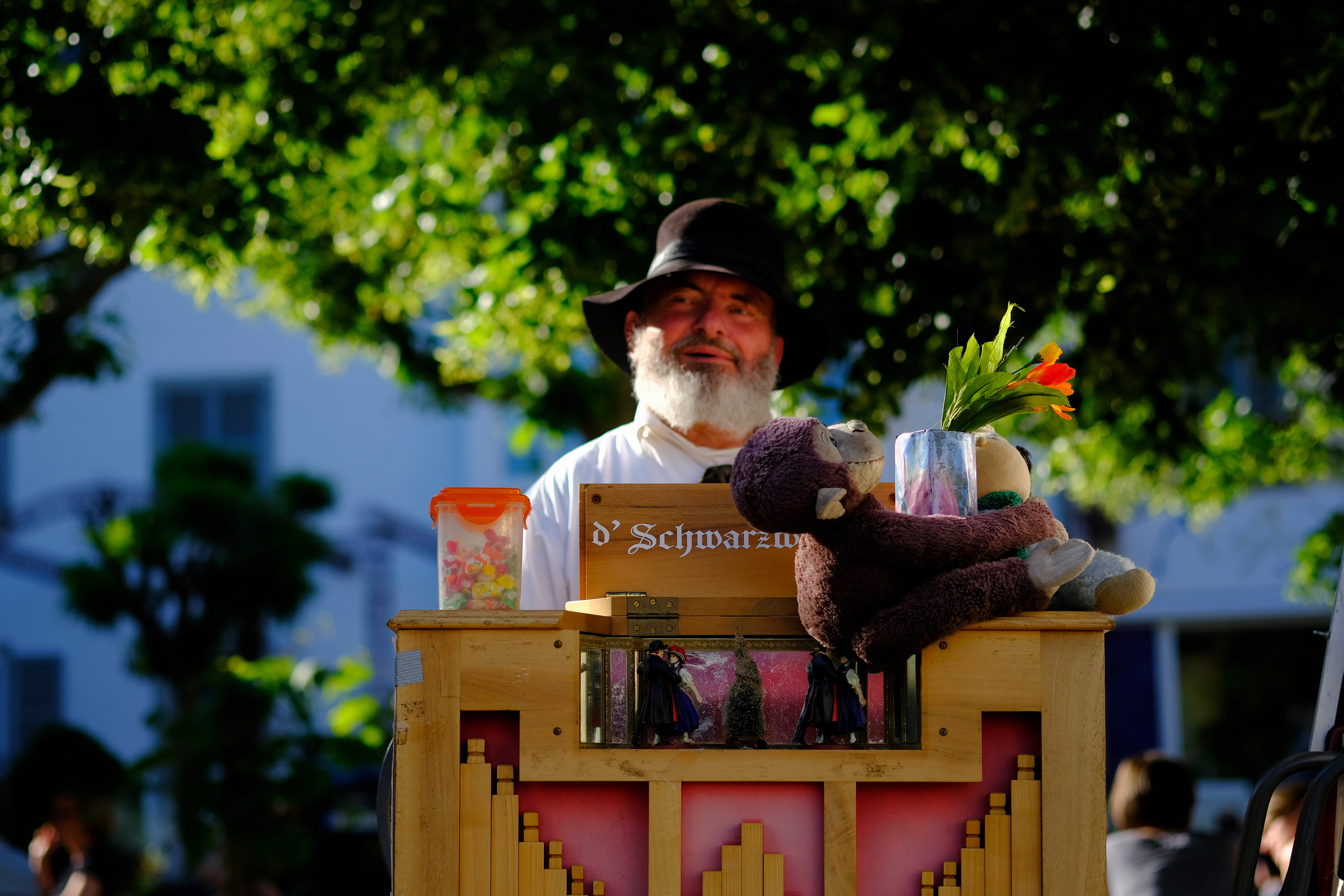 animal themes, wood, play, text, day, street organ, gorilla, one person, mascot, stuffed toy, craft, instrument, 5K, toy, music, monkey, outdoors, stuffed animal, HD Wallpaper