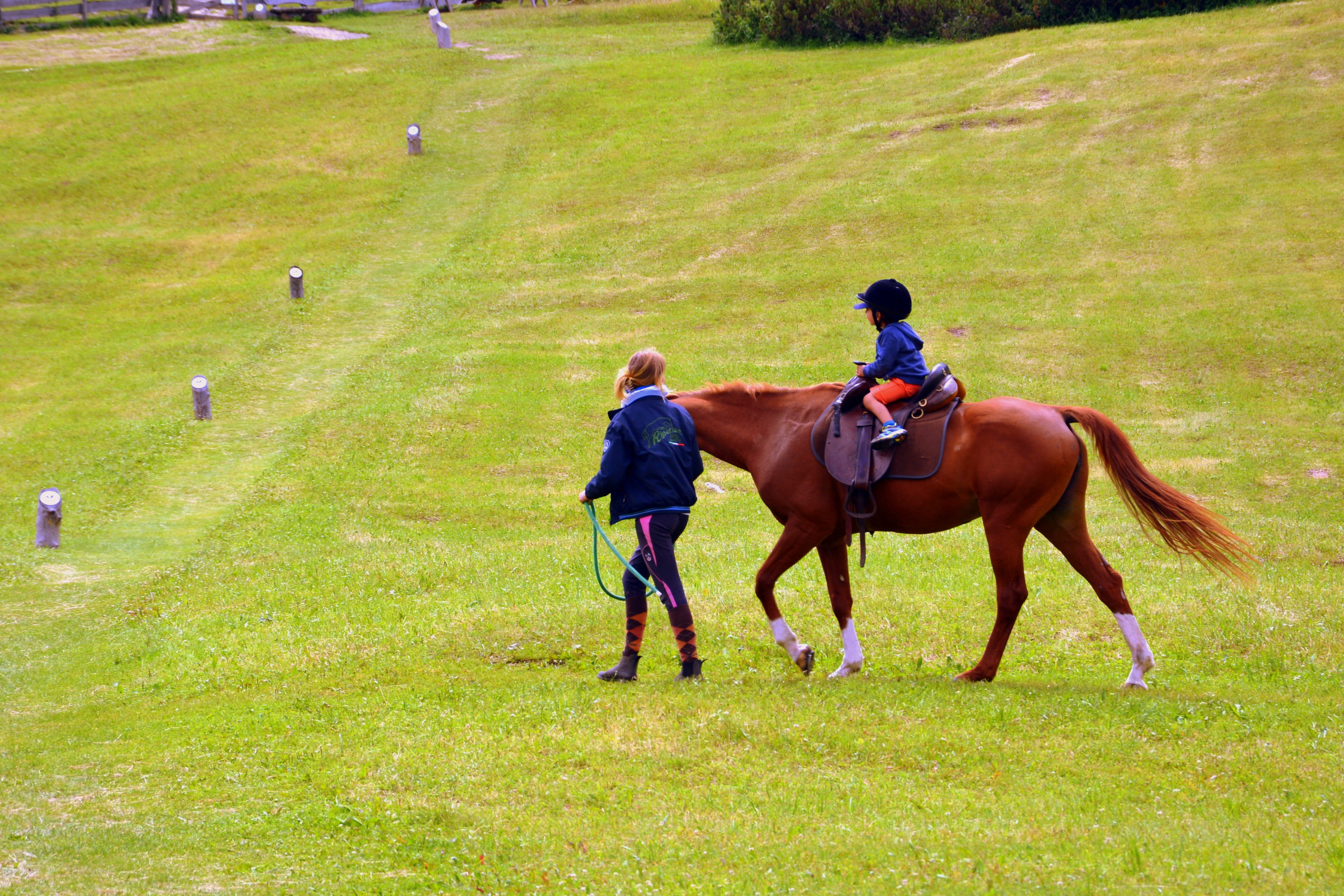 domestic animals, grass, pets, outdoors, real people, herbivorous, field, plant, nature, activity, men, accompany, child, horse racing, instructor, riding, HD Wallpaper
