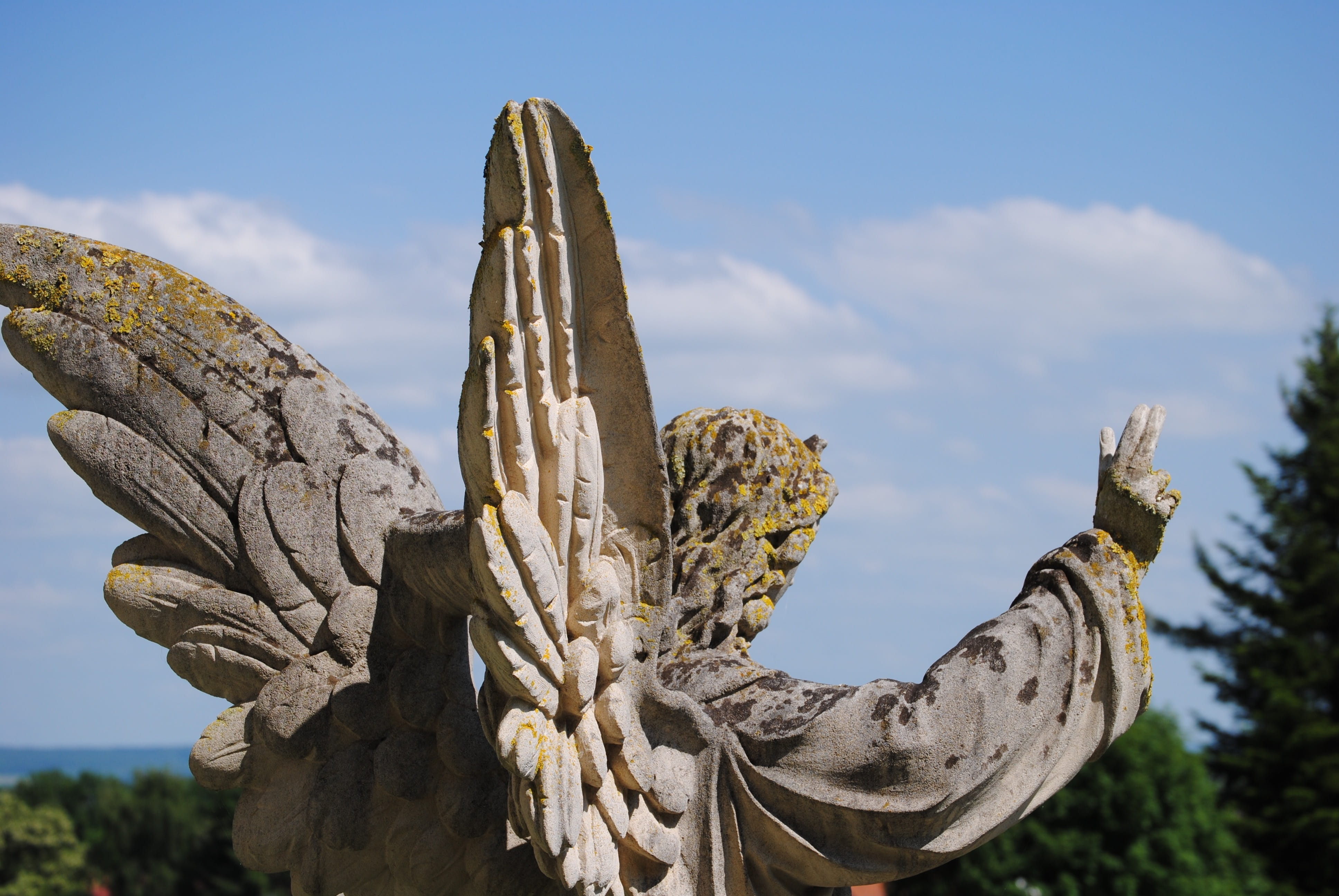 outdoors, tree, representation, no people, low angle view, sky, succulent plant, craft, cloud - sky, creativity, care, wide, statue, art and craft, cactus, HD Wallpaper