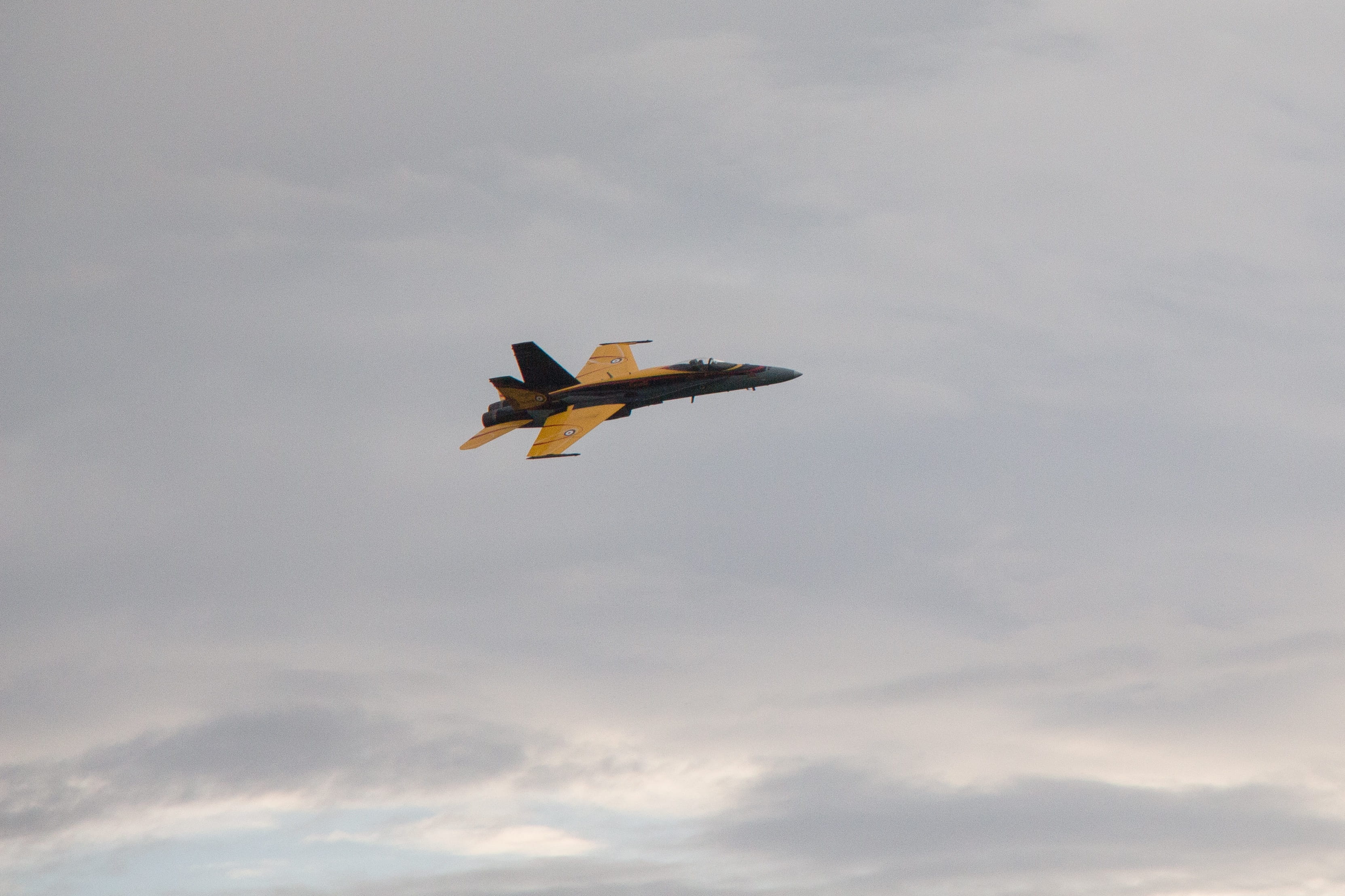 one animal, adventure, speed, canada, day, power, f-18, yellow, metal, spread wings, aviation, symbol, air, airplane, white, plane, animals in the wild, HD Wallpaper