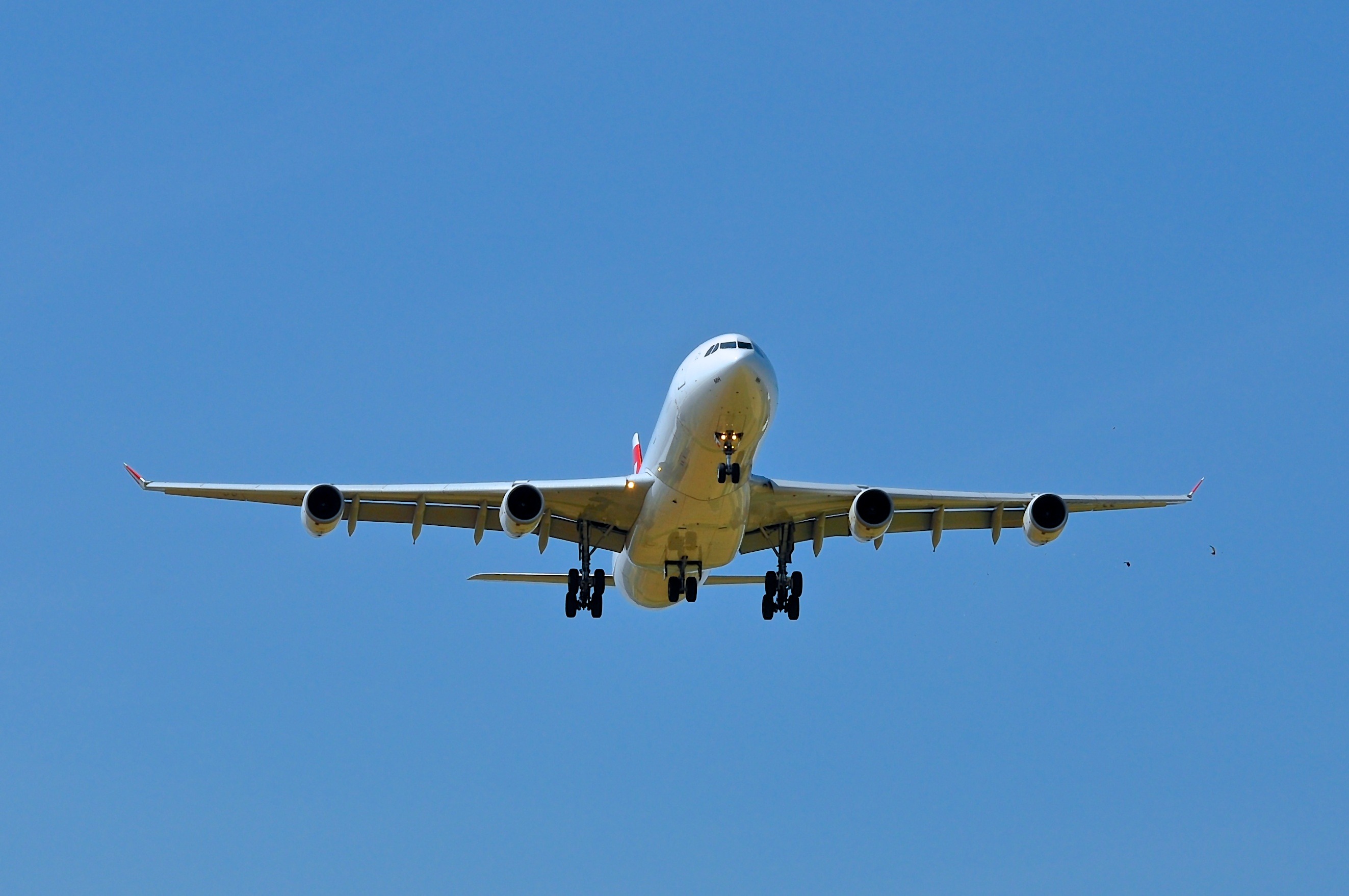 kloten, flying, white, aerospace industry, landing - touching down, arrival, travel, nature, blue, a340, low, landing, angle, day, swiss, motion, low angle view, HD Wallpaper