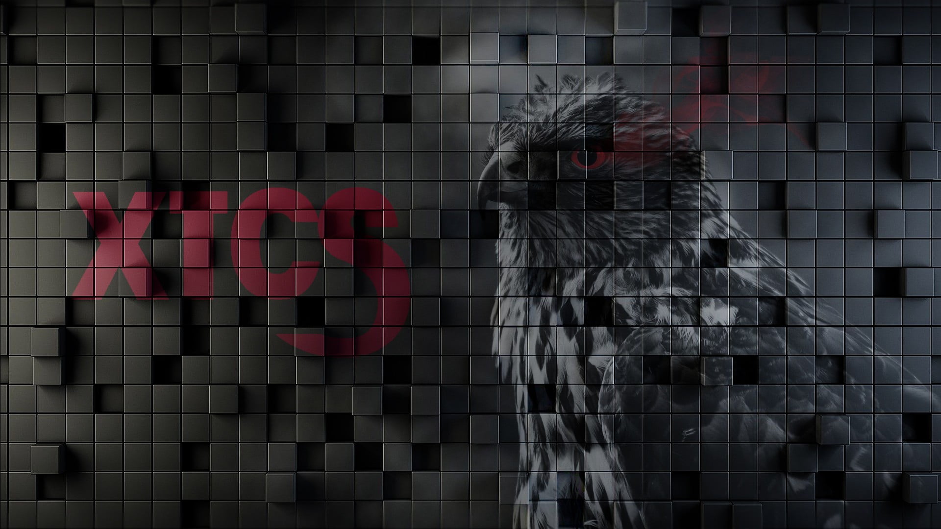 dark, photo manipulation, glass - material, birds, transparent, day, chicken - bird, architecture, no people, building exterior, text, black, HD Wallpaper