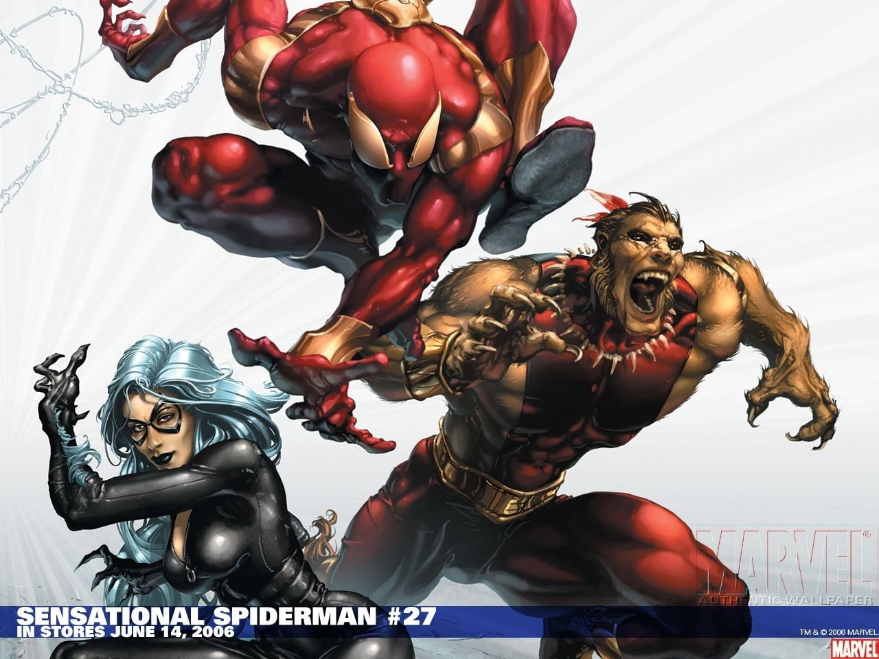 Sensational Spiderman, Spider-Man, Black Cat (Marvel Comics), Timberwolf, 720P, HD Wallpaper