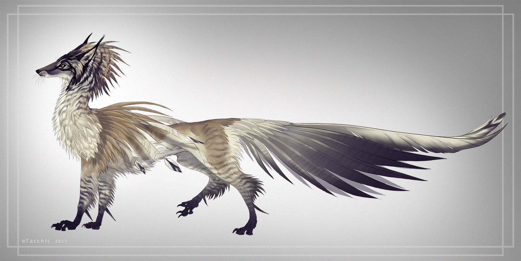 animal, animal wing, one animal, artwork, animals, cat, 720P, representation, animal themes, flying, animal body part, digital composite, feathers, digital art, HD Wallpaper