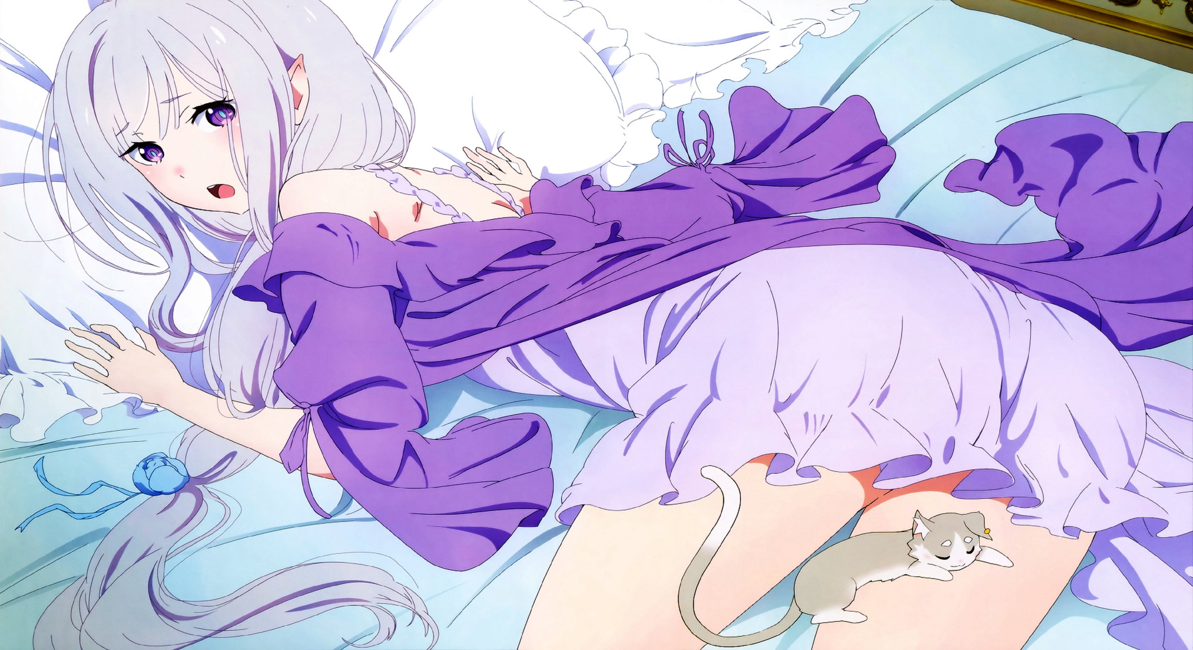 bird, Re:Zero Kara Hajimeru Isekai Seikatsu, animal themes, 4K, no people, Emilia, girl, representation, lifestyles, wall - building feature, art and craft, HD Wallpaper
