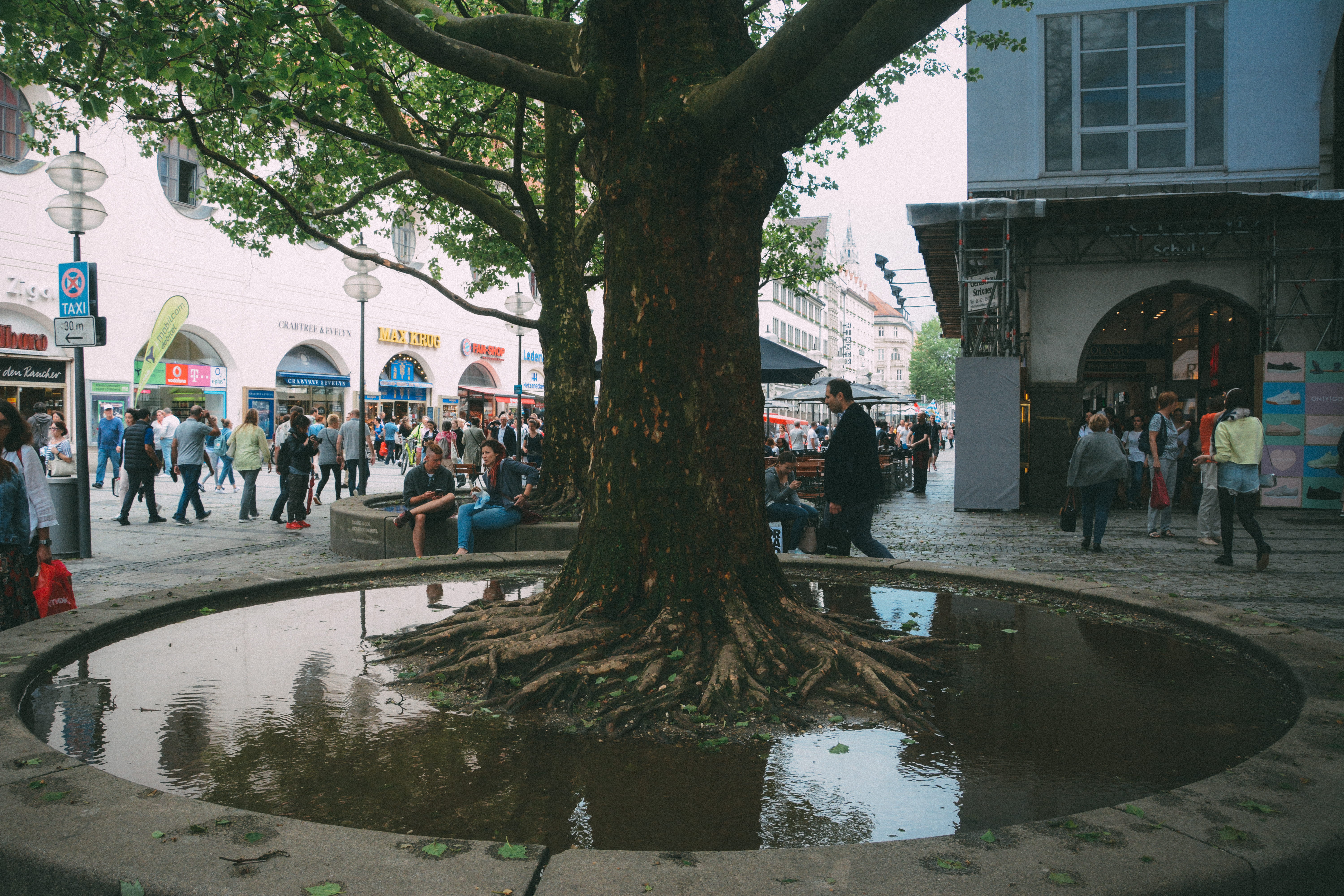 group of people, plant, lifestyles, leisure activity, street, germany, large group of people, built structure, münchen, building exterior, city life, tree, HD Wallpaper