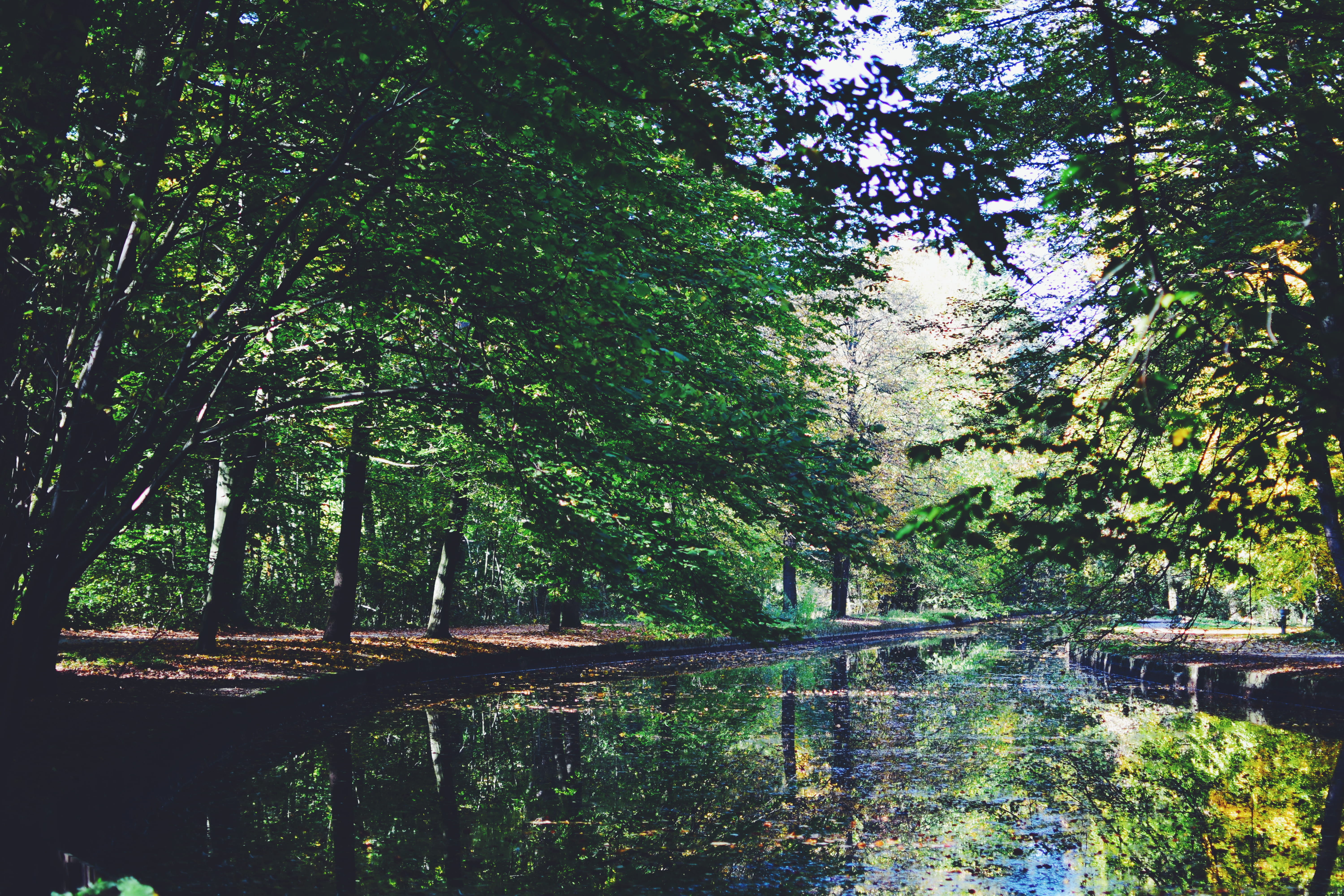 no people, tranquility, nymphenburg palace, nature, foliage, forest, outdoors, 5K, münchen, day, tranquil scene, scenics - nature, architecture, lake, HD Wallpaper