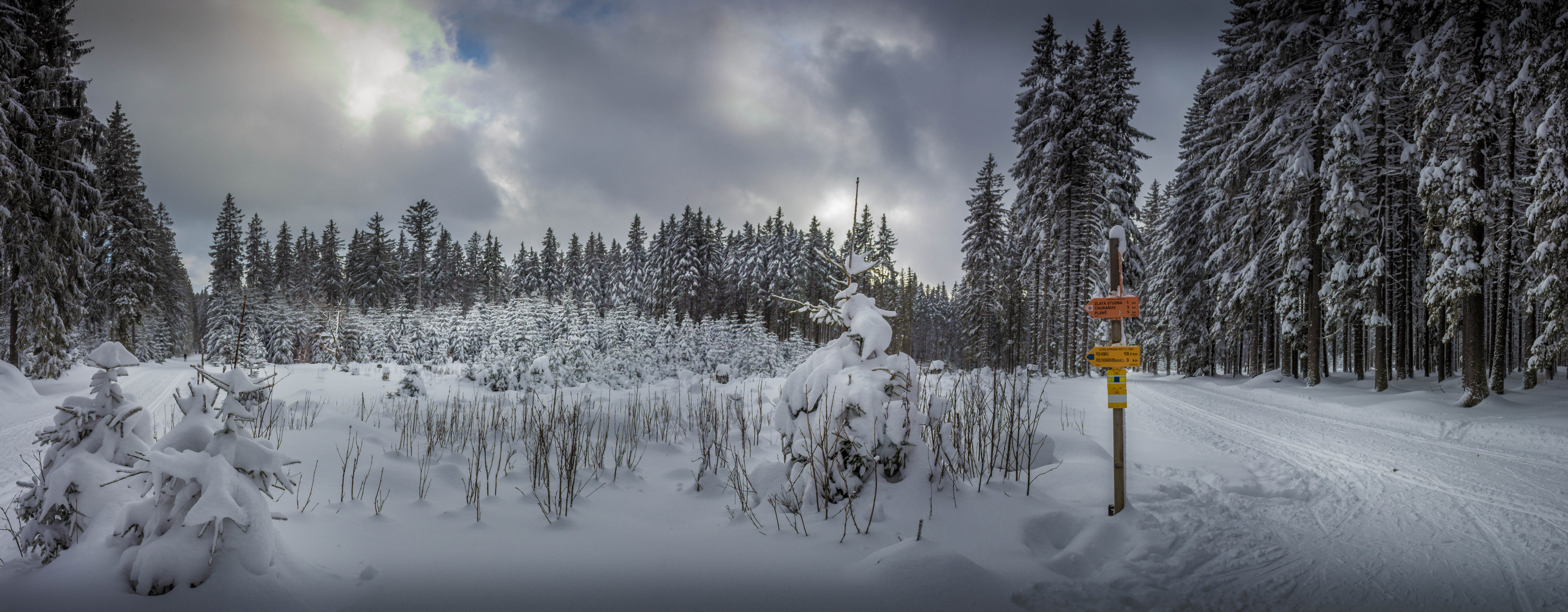 frozen, canon, coniferous tree, beauty in nature, nature, pine tree, cloud - sky, 8K, snow, tranquility, forest, šumava national park, plant, panorama, HD Wallpaper