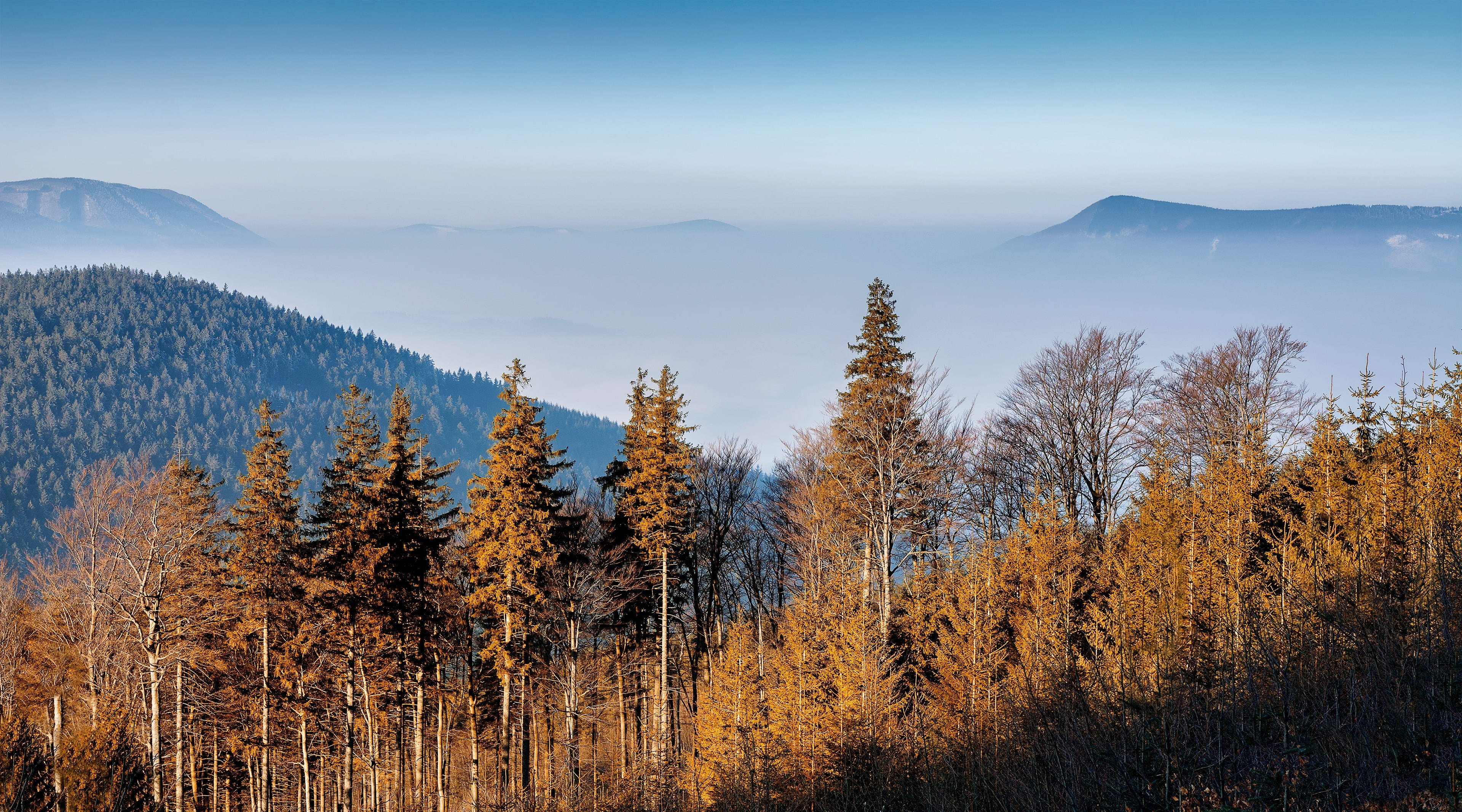 mountain, Mist, beskydy, beauty in nature, growth, no people, czechia, Forest, tranquility, cold temperature, earlyspring, day, mountain range, land, environment, HD Wallpaper
