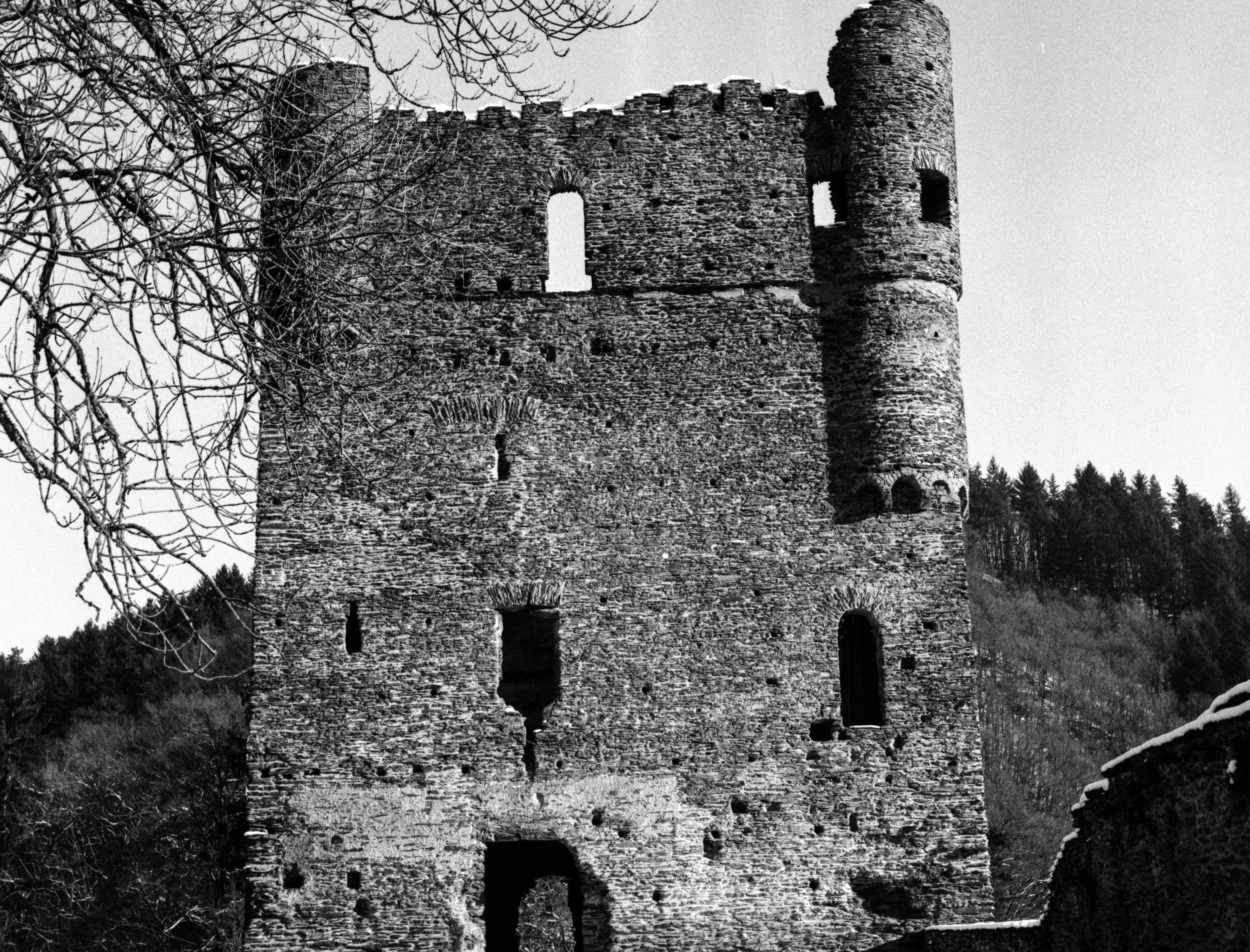 sachsen, building, ruined, history, Live, clear sky, knights castle, weathered, sky, Ruin, architecture, stone wall, plant, deterioration, middle ages, HD Wallpaper