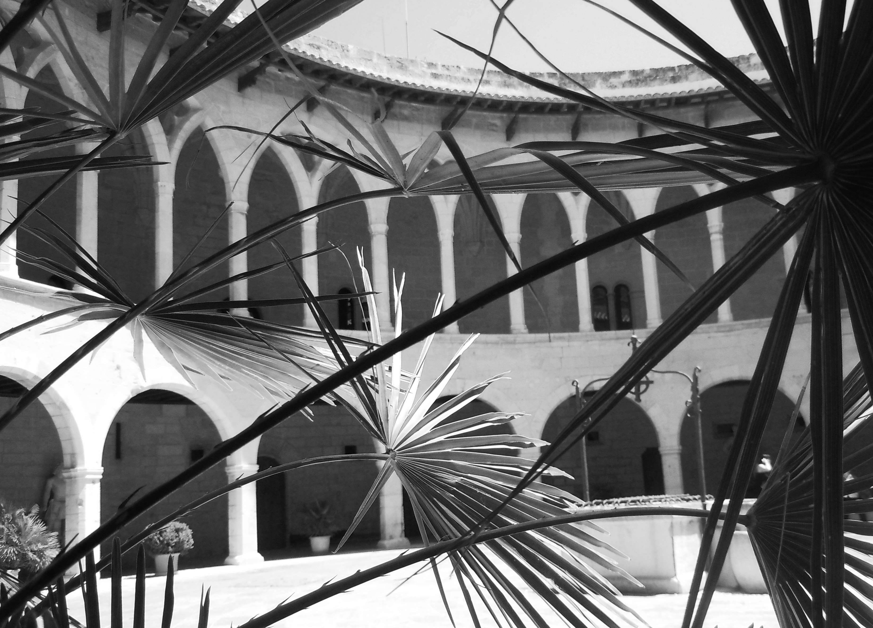 city, castle, pattern, reflection, plant, rotunda, building exterior, sunlight, built structure, bellver castle, palm tree, architecture, black and white, HD Wallpaper