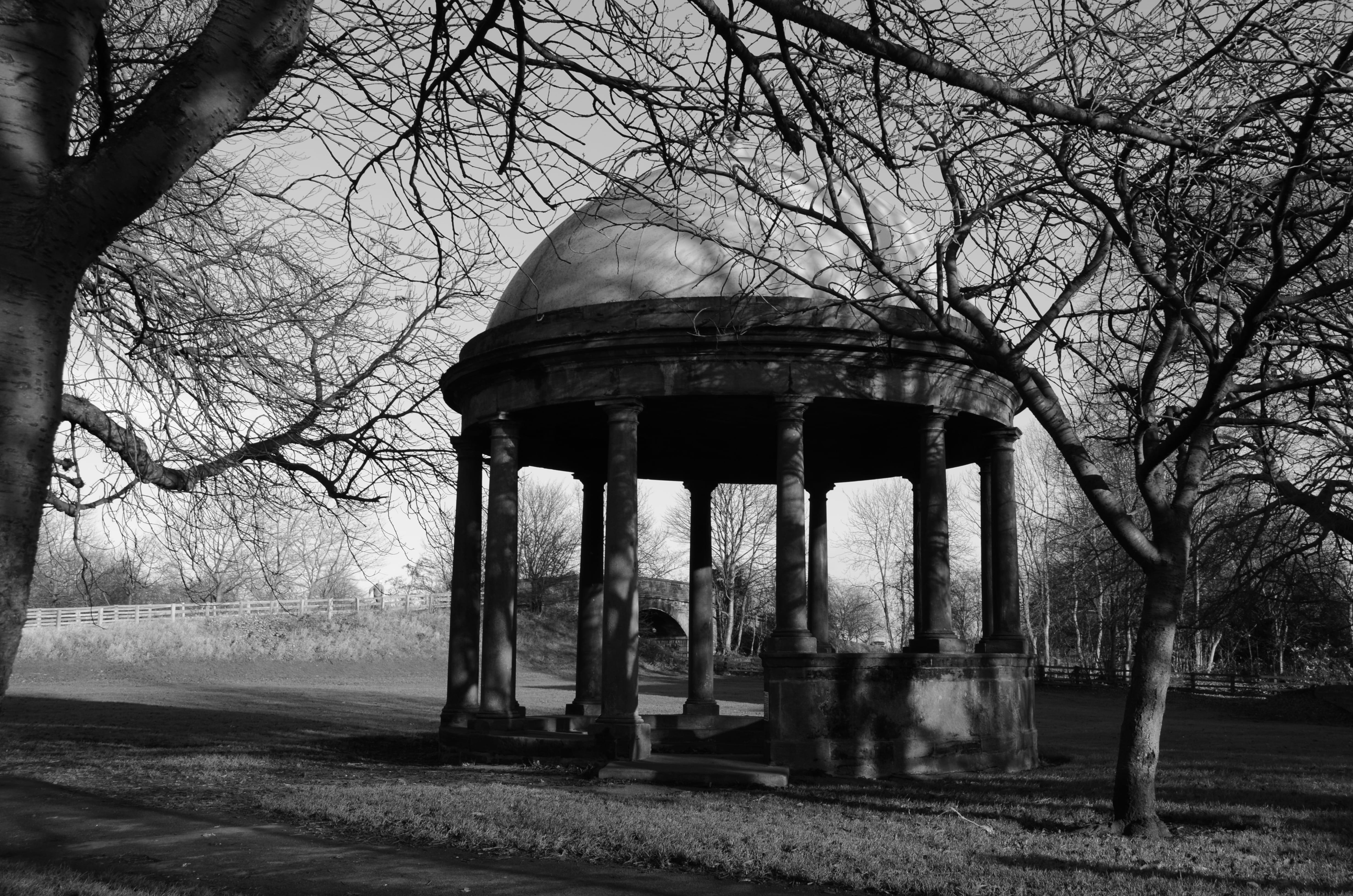 day, tree, no people, the past, field, architecture, branch, built structure, sky, plant, trunk, rotunda, background, outdoors, land, 4K, old, history, HD Wallpaper
