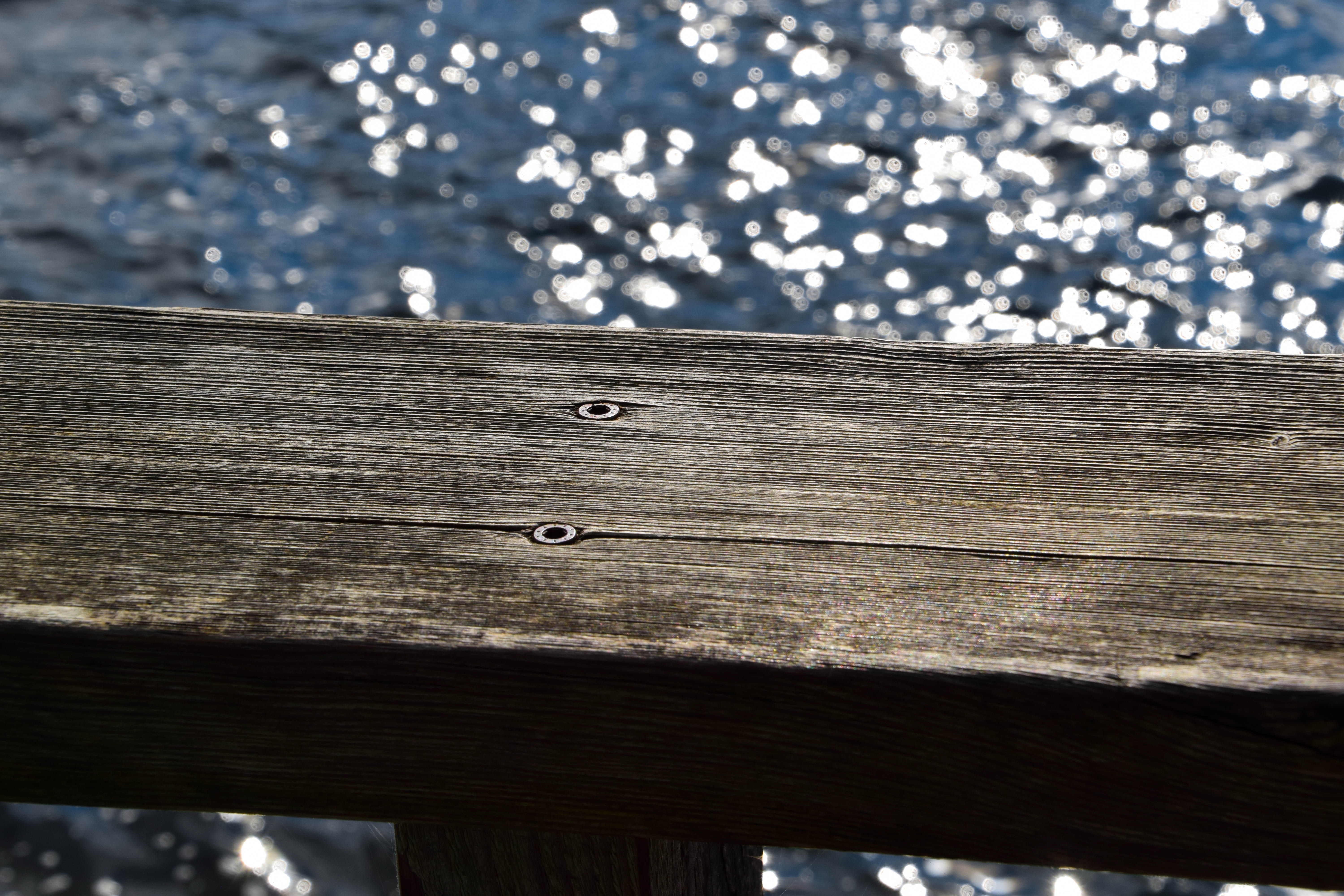 textured, boardwalk, sea, lake, focus on foreground, wooden beams, plank, animal themes, board, reflection, web, outdoors, wooden boards, river, 5K, selective focus, HD Wallpaper
