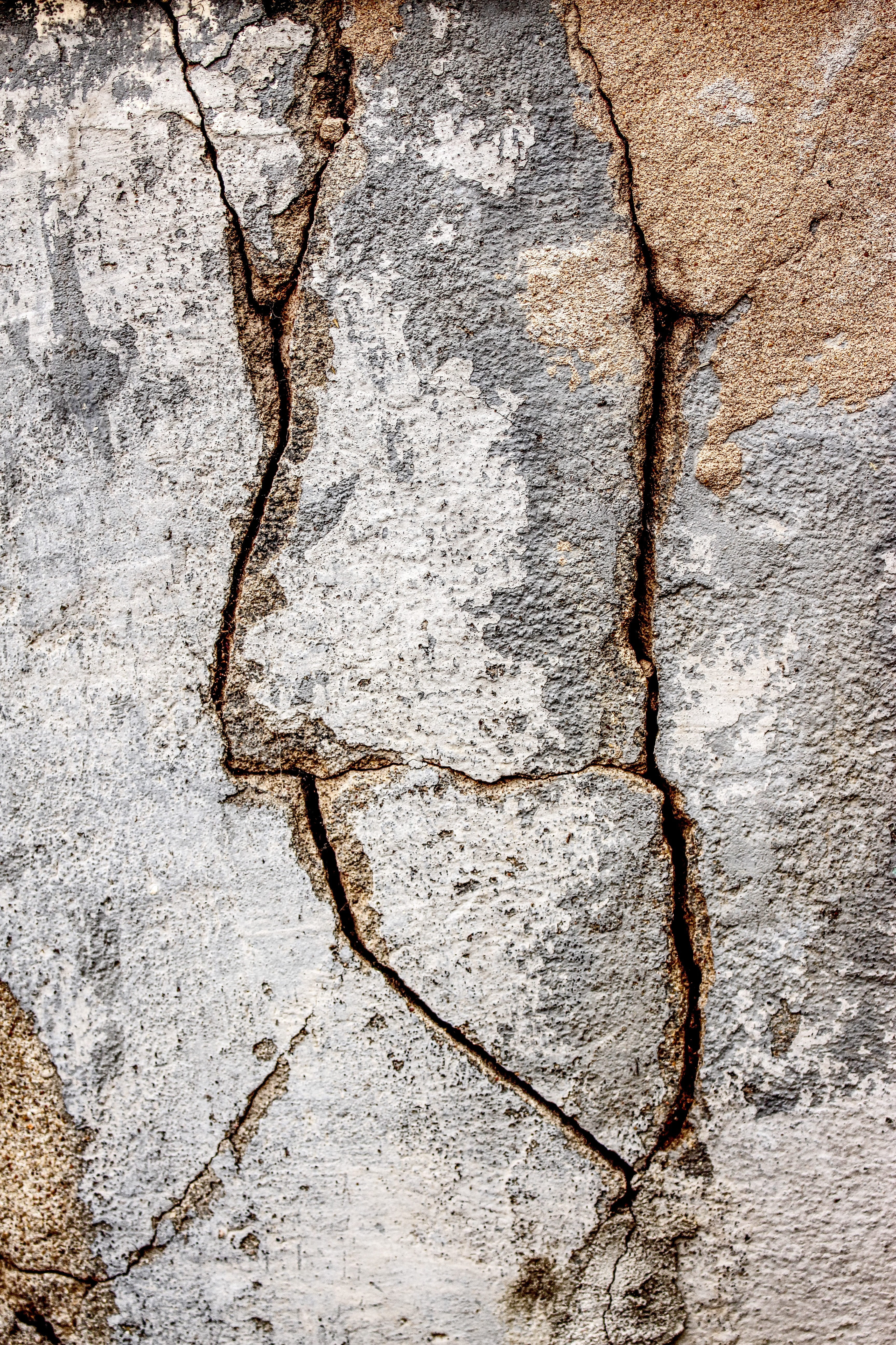 nature, stone, decay, white, tree trunk, textured effect, background, textured, masonry, damaged, close-up, hauswand, 5K, weathered, brittle, walls, structure, Phone HD Wallpaper