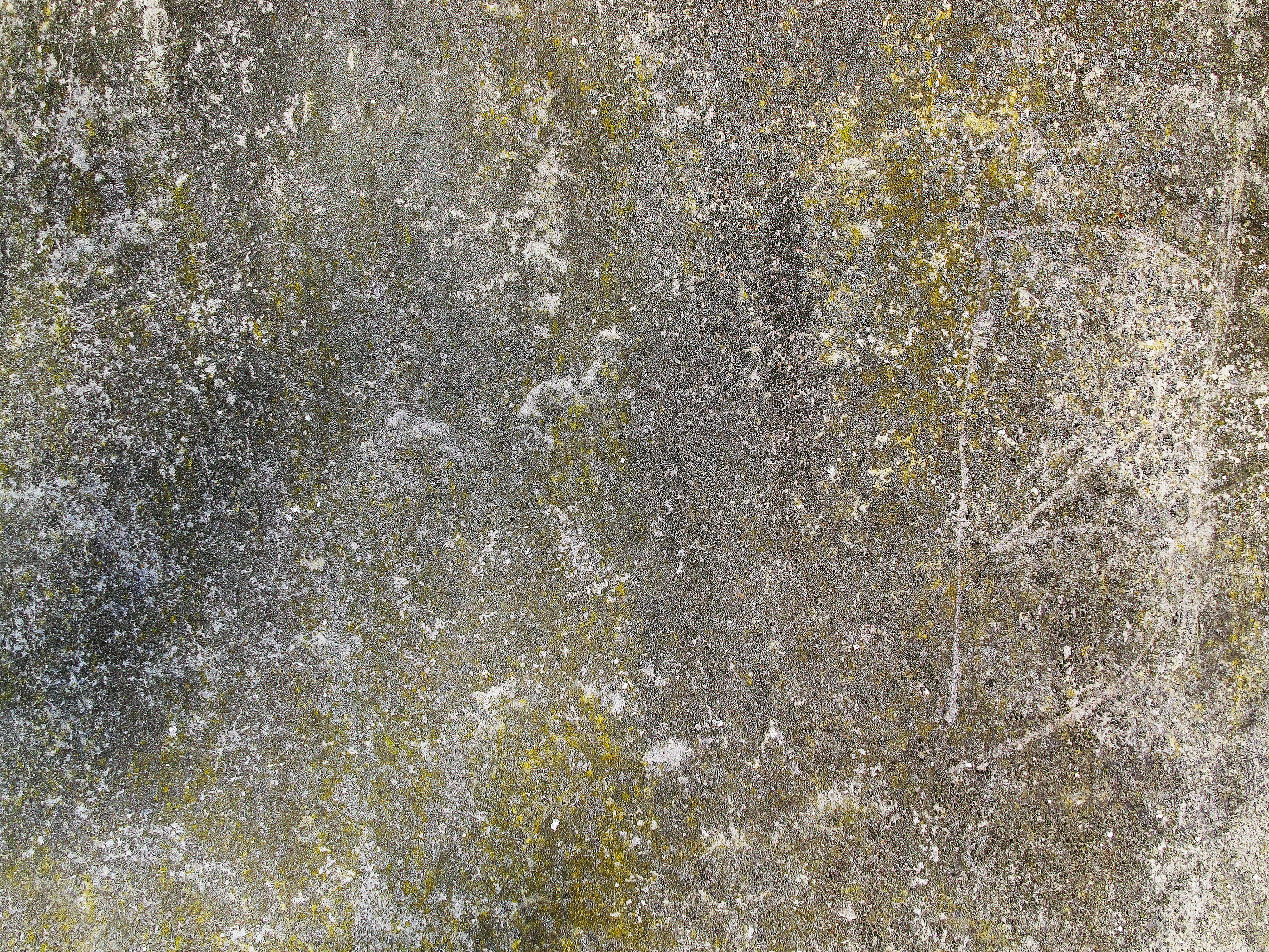 nature, 2K, beauty in nature, day, concrete, green color, patina, abstract backgrounds, structure, white color, land, plant, built structure, wall - building feature, HD Wallpaper