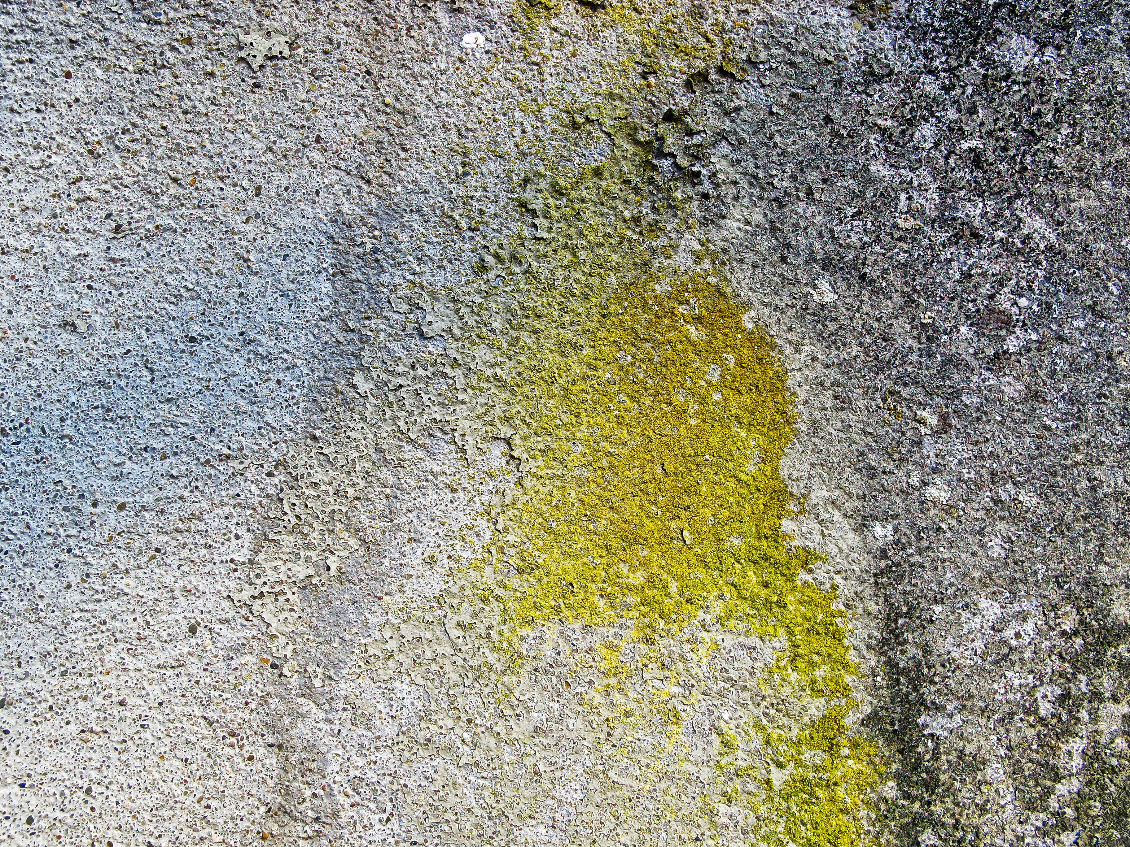 concrete wall, concrete, green color, outdoors, stains, pattern, break up, built structure, background, yellow, old, high angle view, 2K, spotty, growth, HD Wallpaper