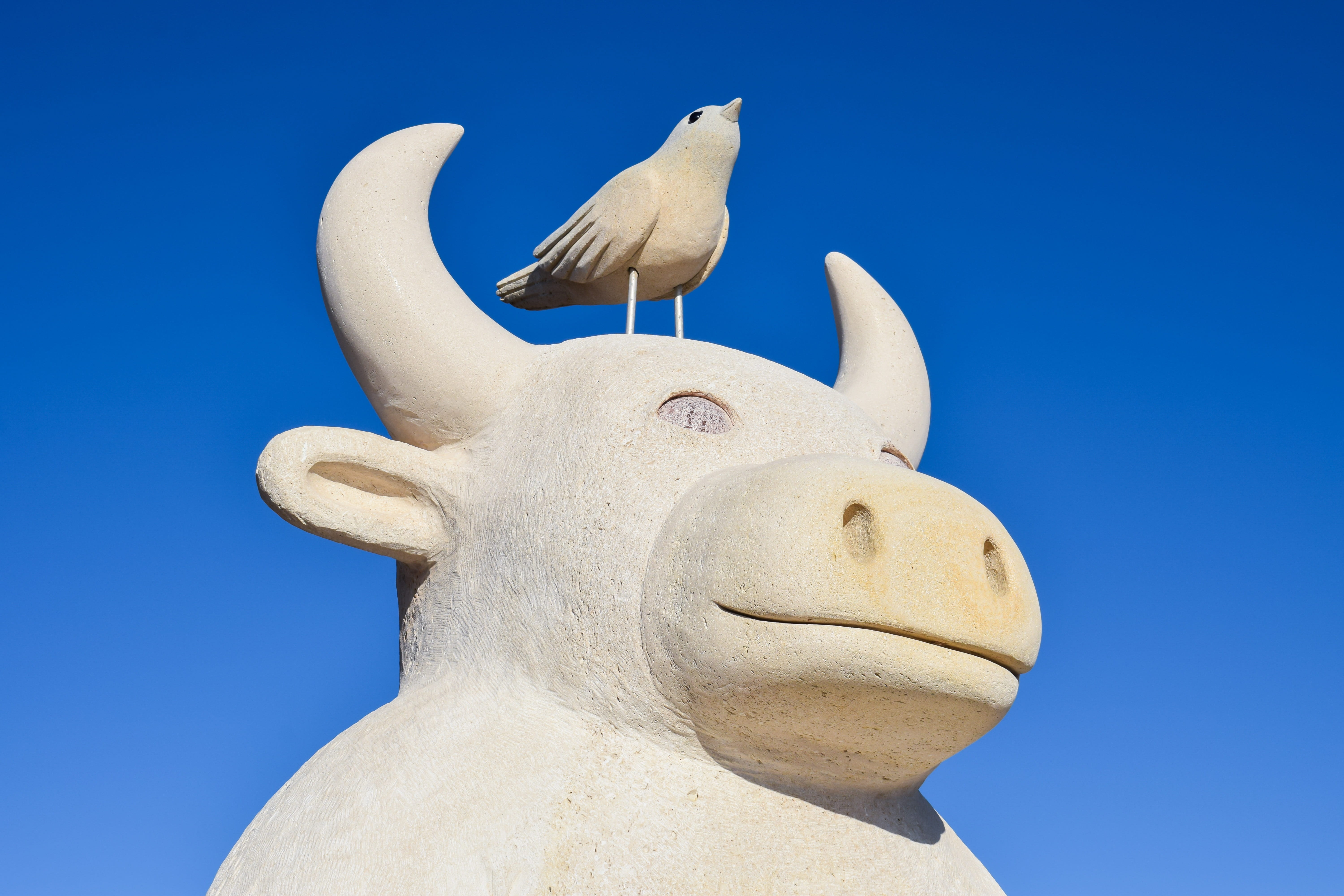 the minotaur and the bird, open air museum, sky, close-up, bird, art and craft, cyprus, ayia napa, one animal, single object, aldo shiroma, 5K, low angle view, HD Wallpaper