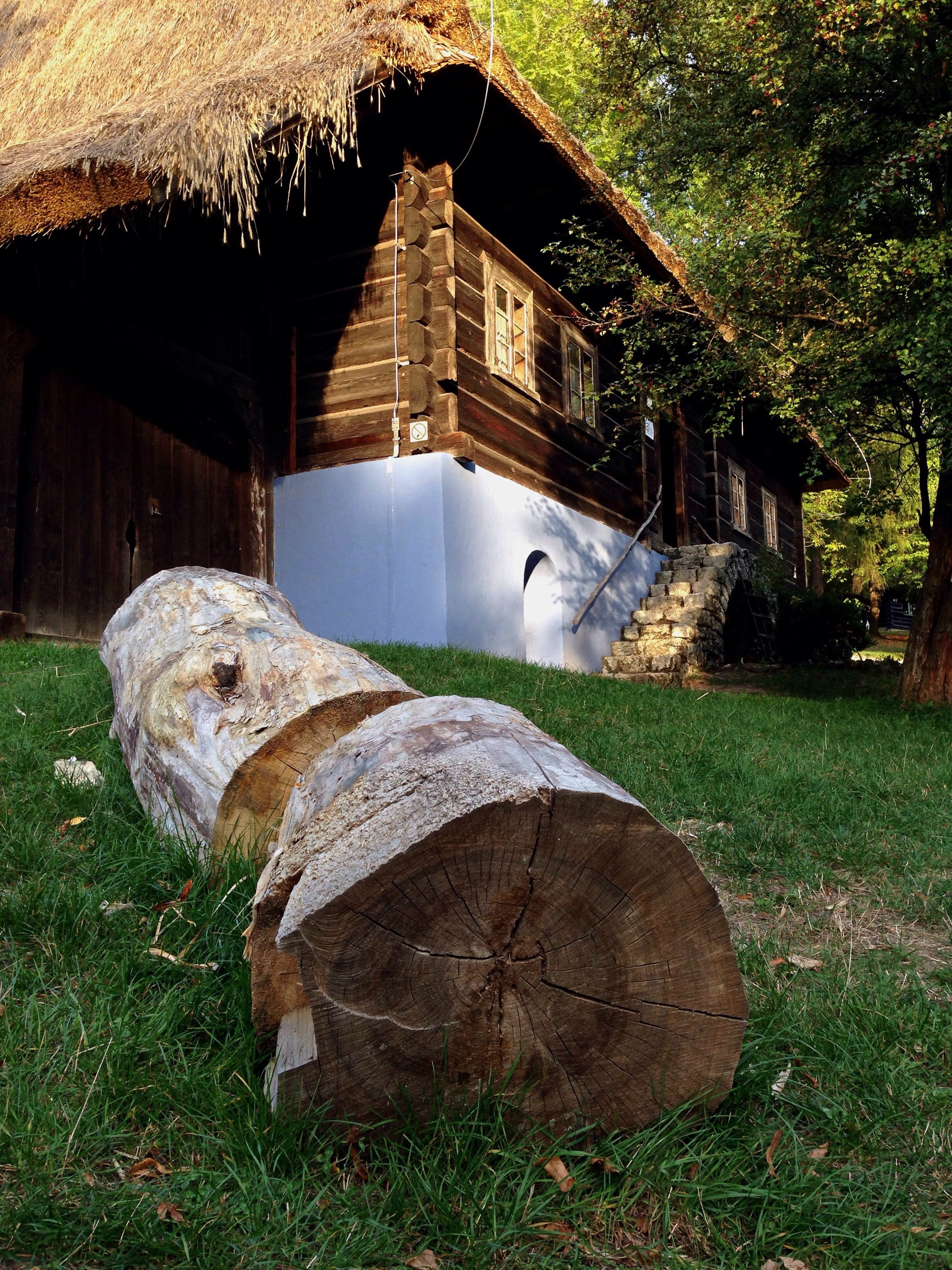 field, voivodeship, wood, plant, day, building exterior, built structure, tree, grass, a tree log, Wygiełzów Silesian Voivodeship, land, z, the museum, Phone HD Wallpaper