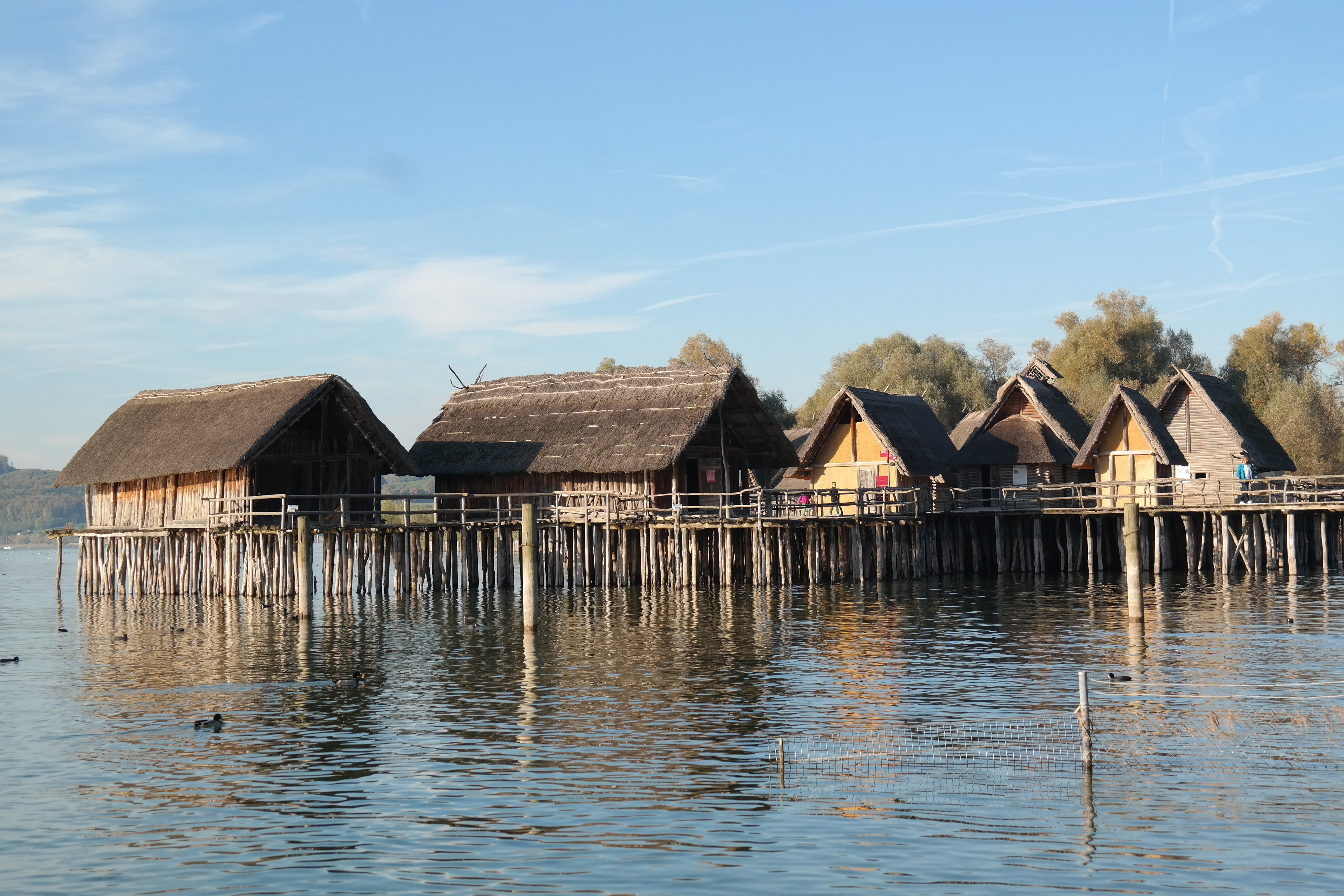 residential district, waterfront, stilt village, house, open air museum, pile dwelling museum unteruhldingen, lake, homes, day, stilt house, unteruhldingen, HD Wallpaper