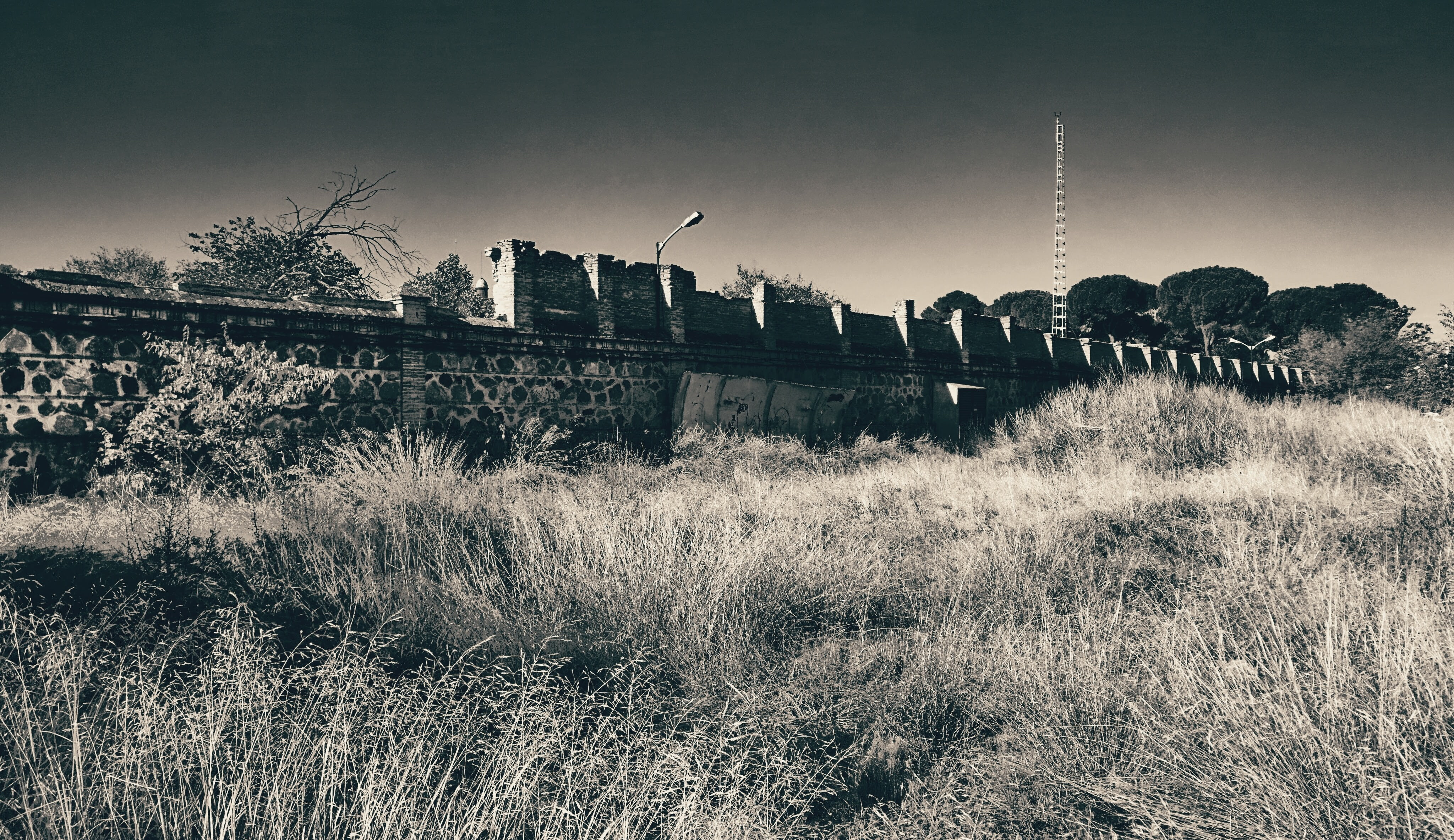 spooky, tree, building, grass, growth, sky, land, field, landscape, no people, outdoors, decay, history, environment, UCLM, 4K, built structure, urban decay, HD Wallpaper
