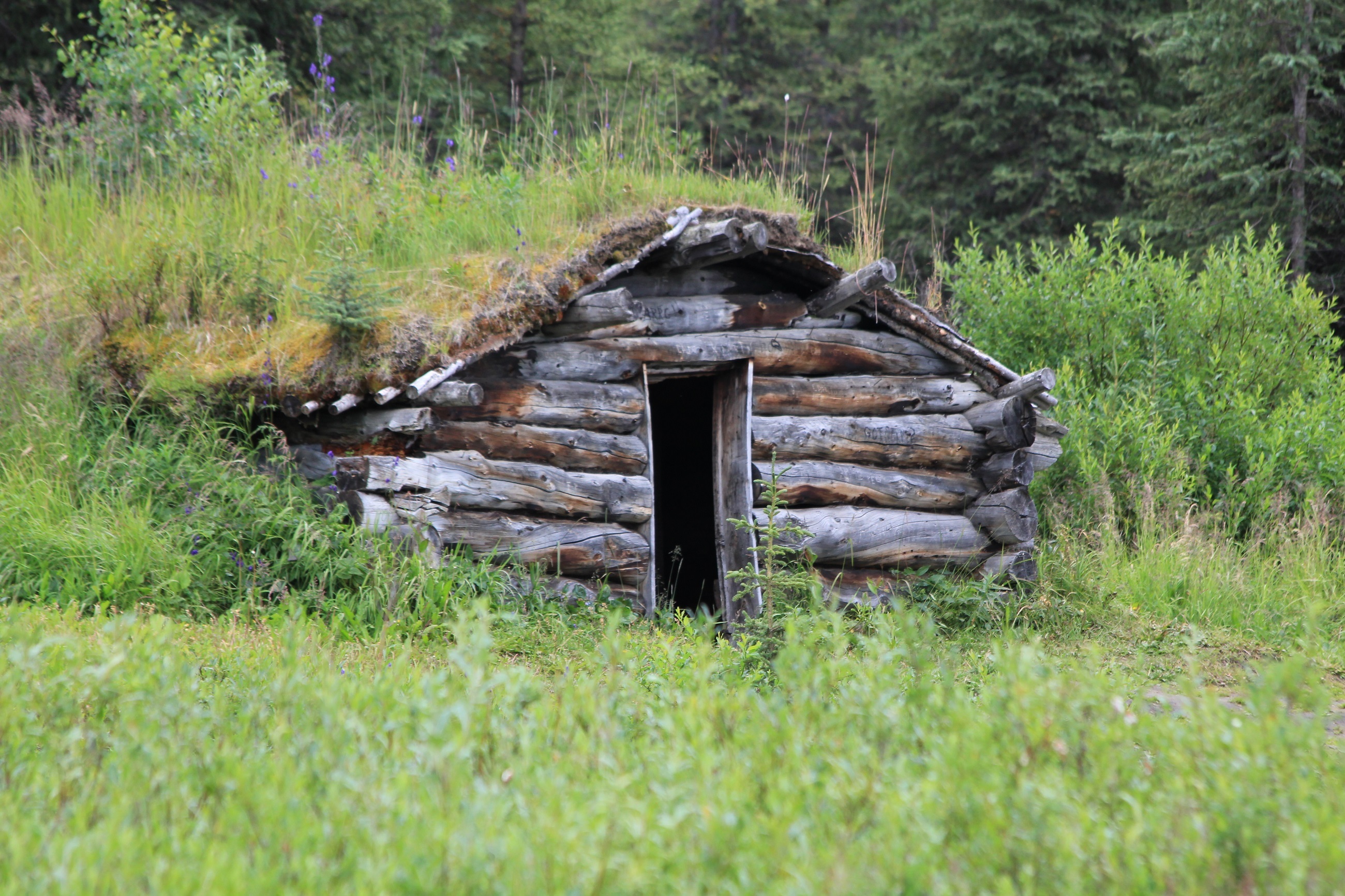usa, no people, near, green color, wild, obsolete, grass, architecture, historical, structure, built structure, tranquility, field, historic, wood - material, HD Wallpaper