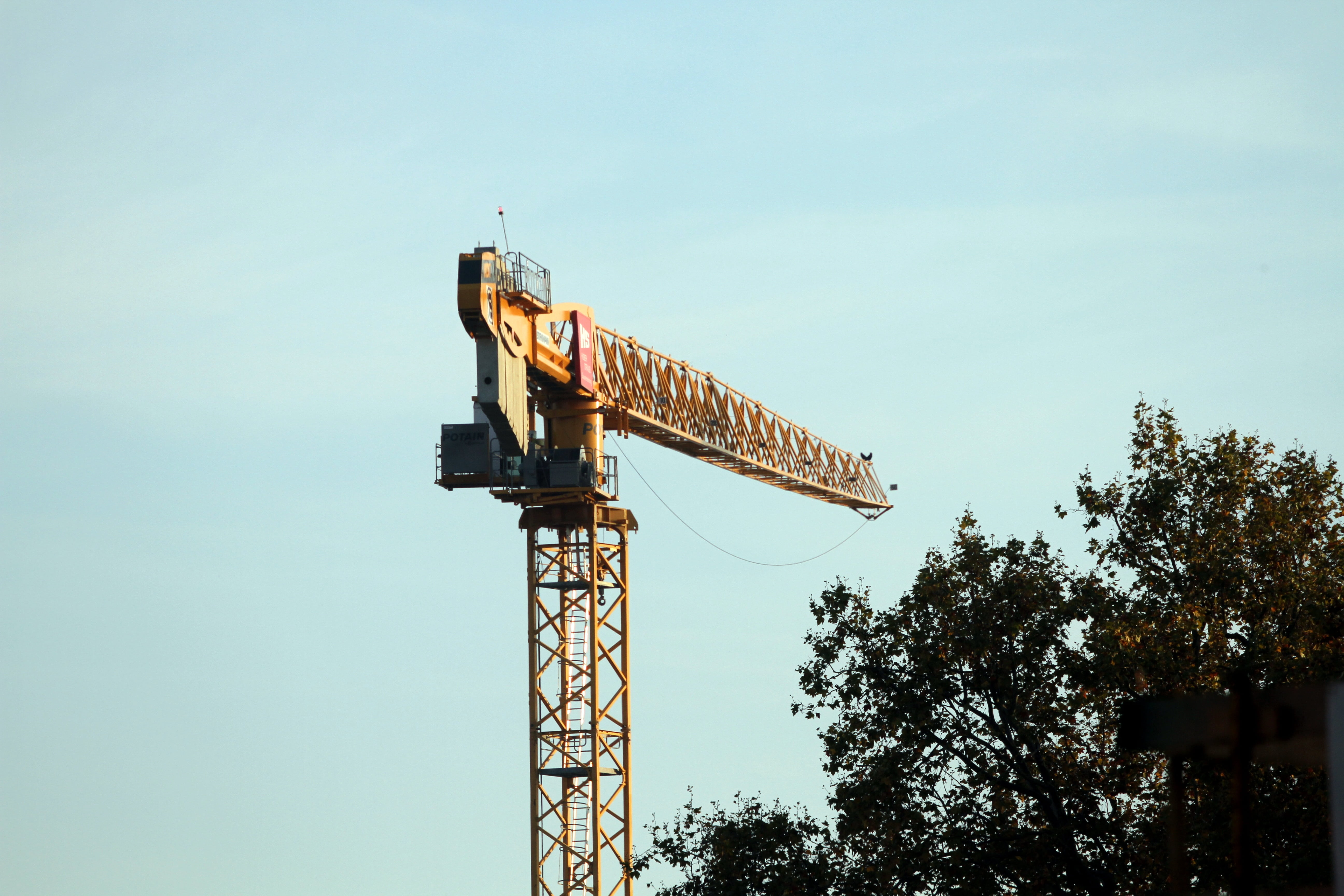 building exterior, built structure, baukran, construction work, plant, growth, blue, sign, machinery, communication, outdoors, nature, sky, low angle view, HD Wallpaper
