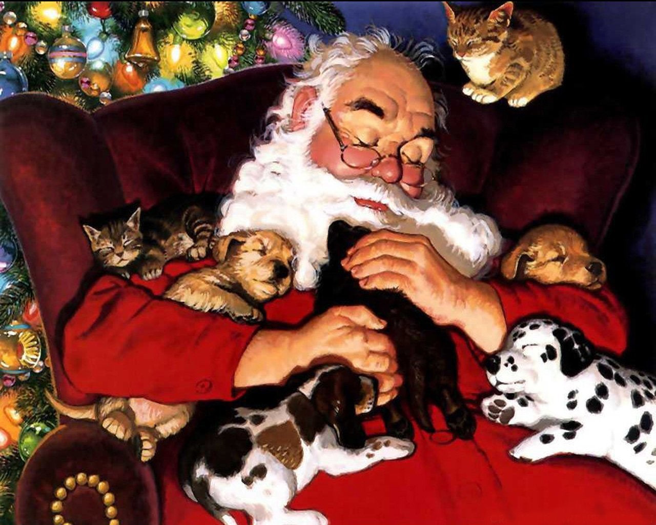 winter, Kitten, Dog, lifestyles, season, cheerful, sitting, Santa, men, christmas Tree, celebration, Holiday, animal, adult, color Image, happiness, night, HD Wallpaper