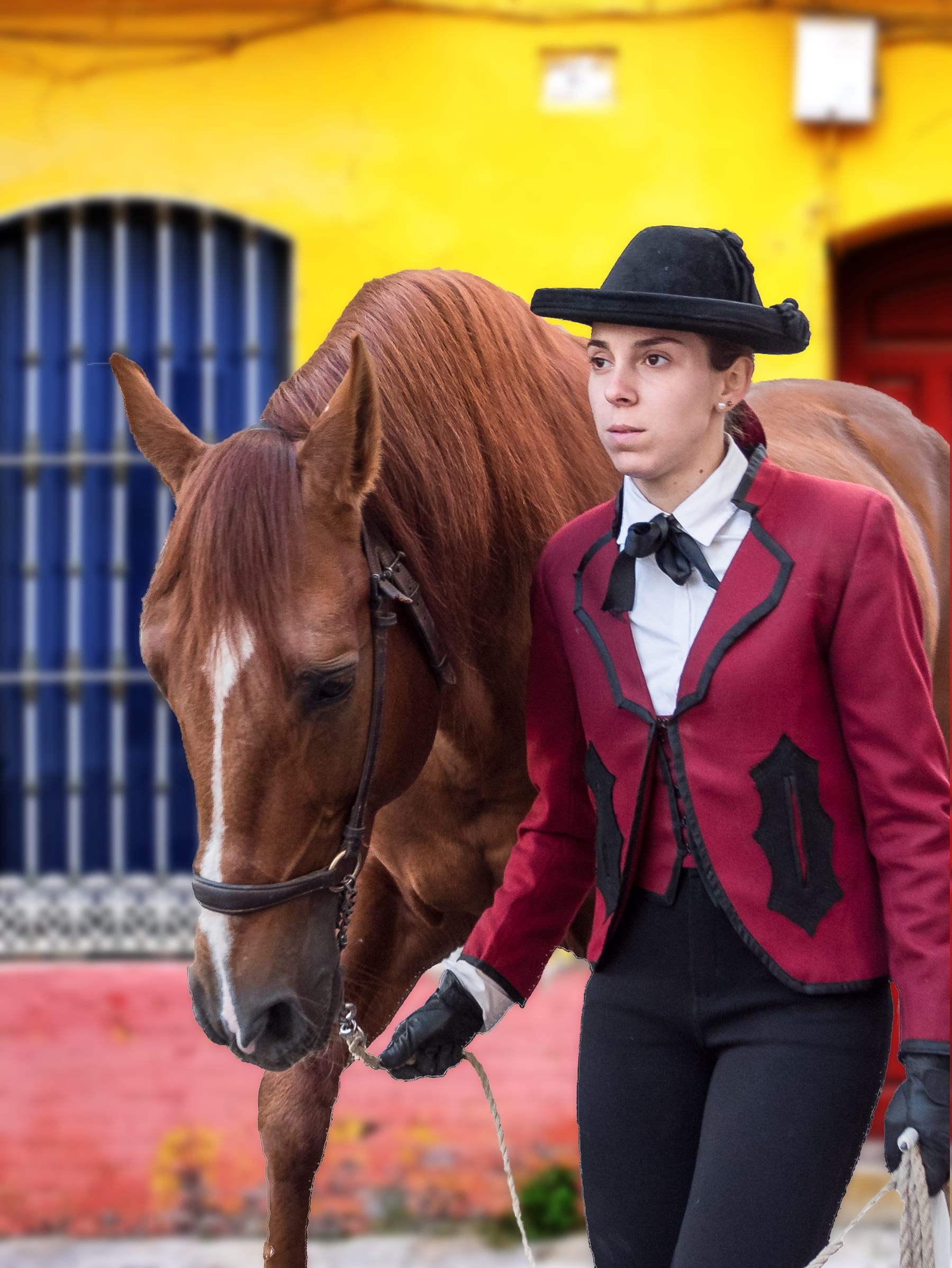 hairstyle, standing, hair, dressage, amazon, andalusia, mare, outdoors, teenager, livestock, pets, one person, day, spain, hors, vertebrate, brown, animal themes, Phone HD Wallpaper