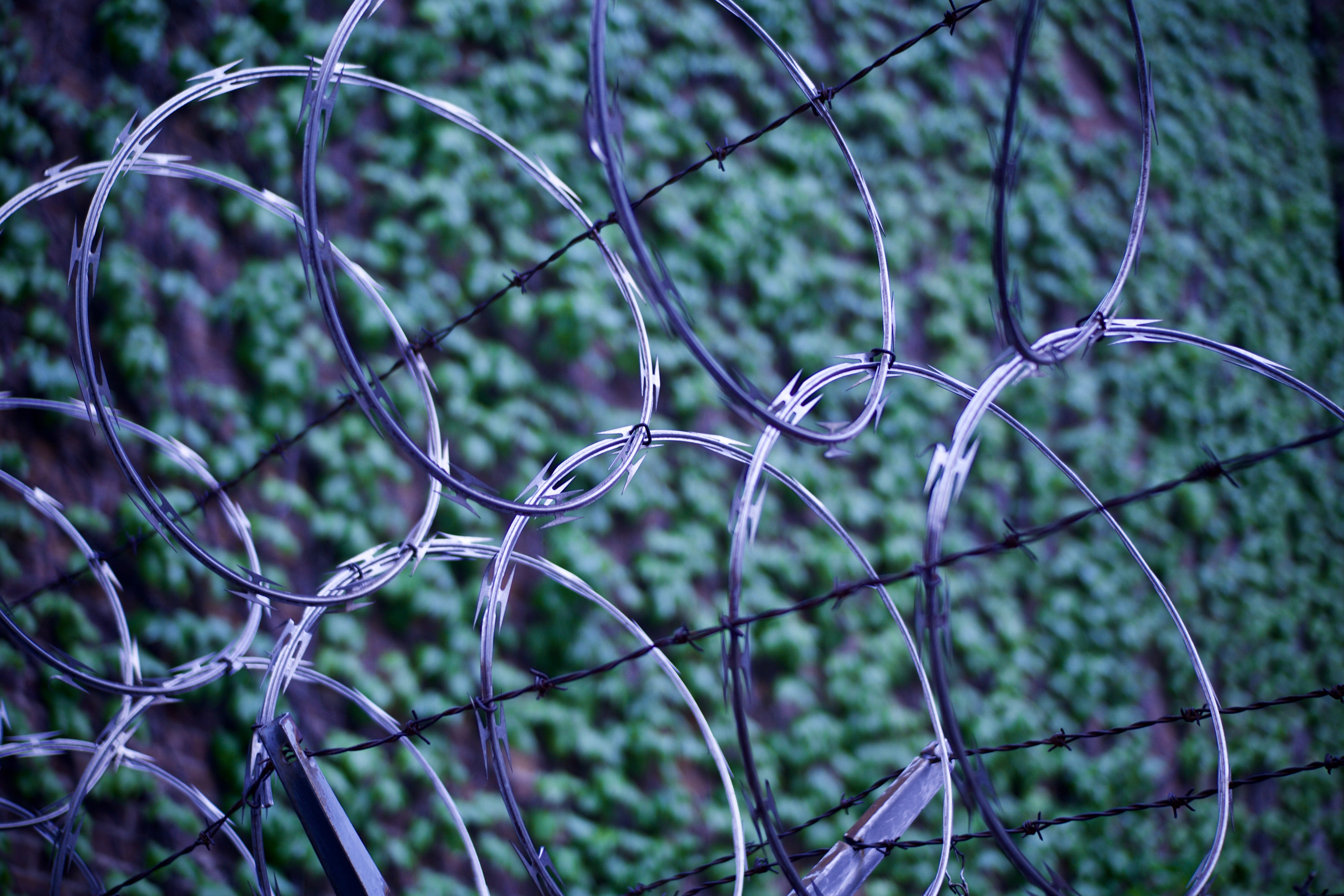 focus on foreground, united states, no people, day, boundary, close-up, security, sharp, outdoors, 5K, new york, communication, barrier, east harlem, metal, HD Wallpaper