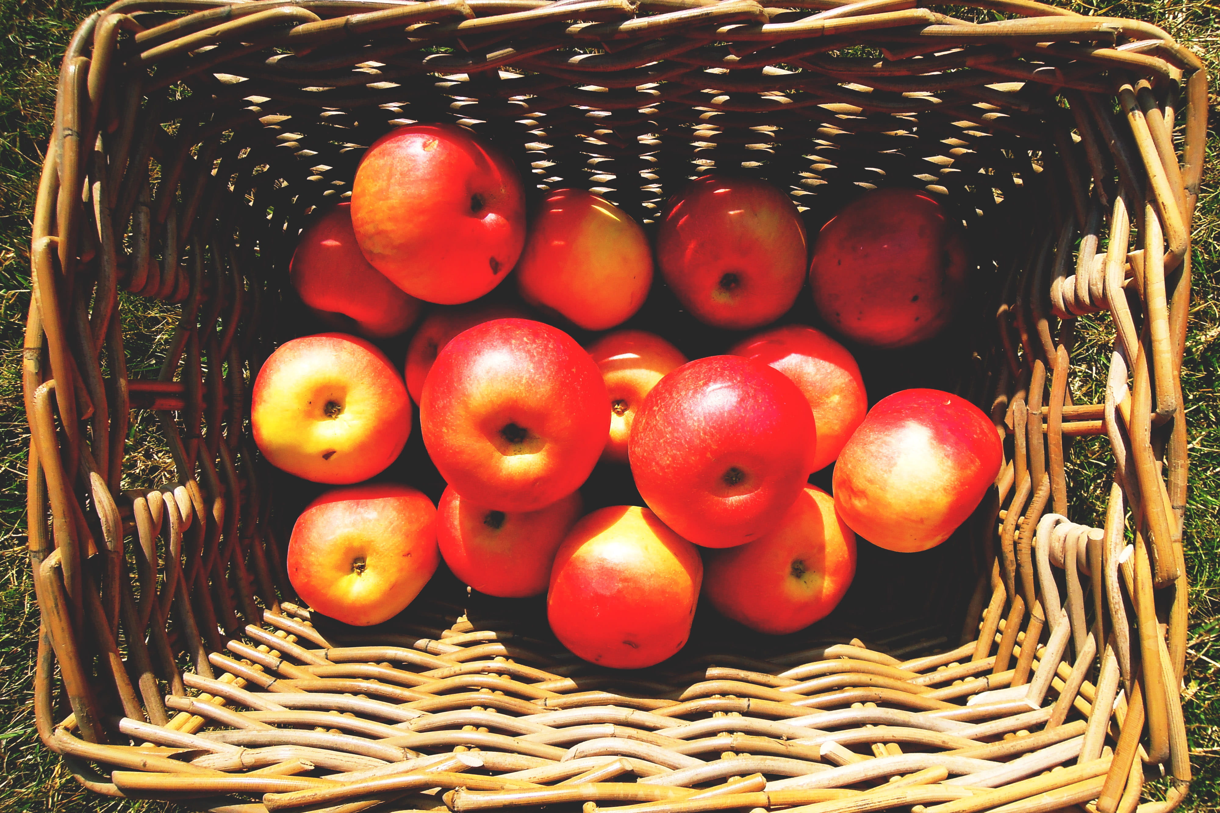 food, food/Drink, large group of objects, 4K, apples, tomato, day, freshness, shot, basket, close-up, vegetable, healthy Eating, basket of apples, diet, HD Wallpaper