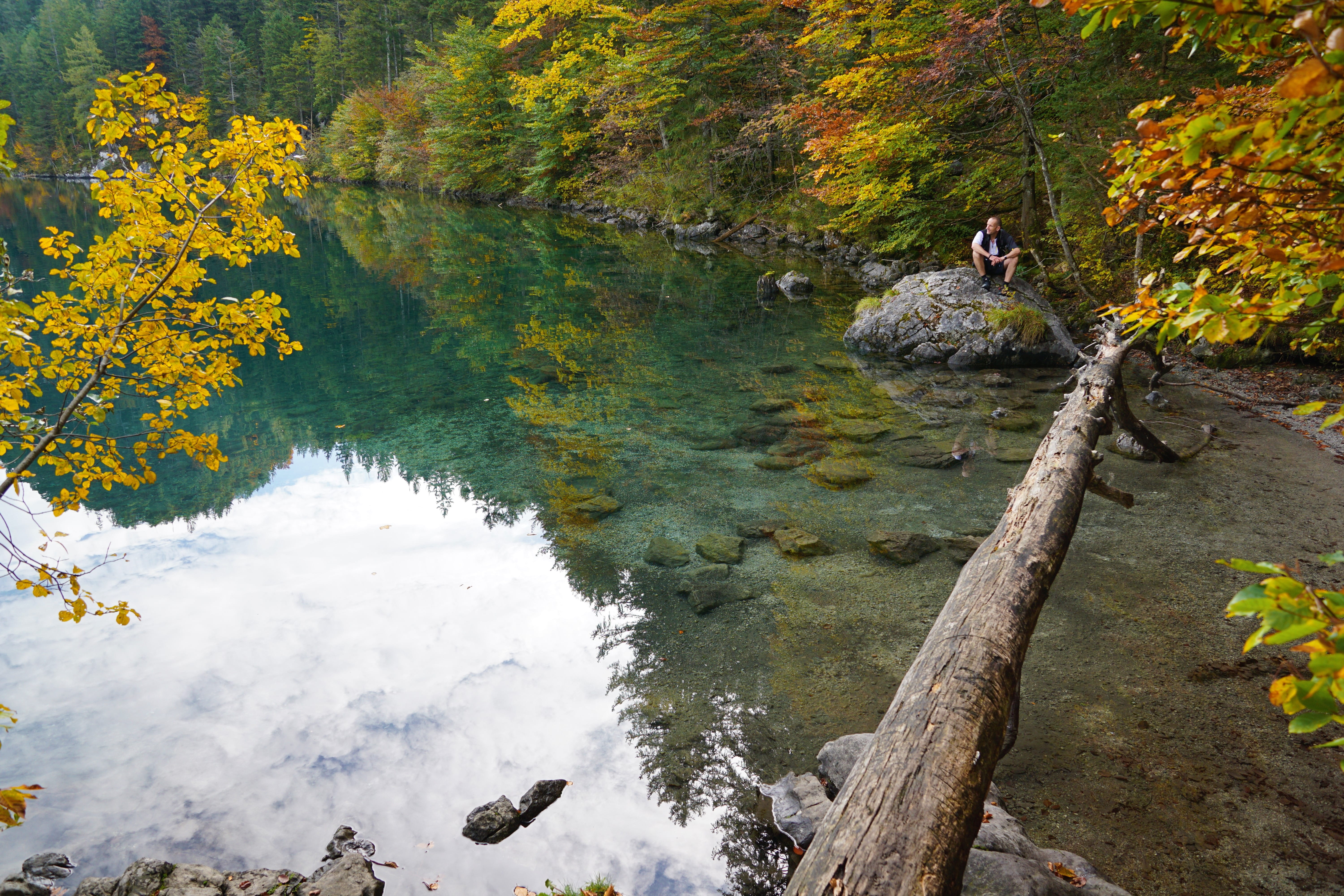 forest, rest, 5K, dream landscape, millstatt, panorama, sporty, mirroring, water, kaiser mountains, idyll, summit, bergsee, wilderkaiser, scenics - nature, HD Wallpaper