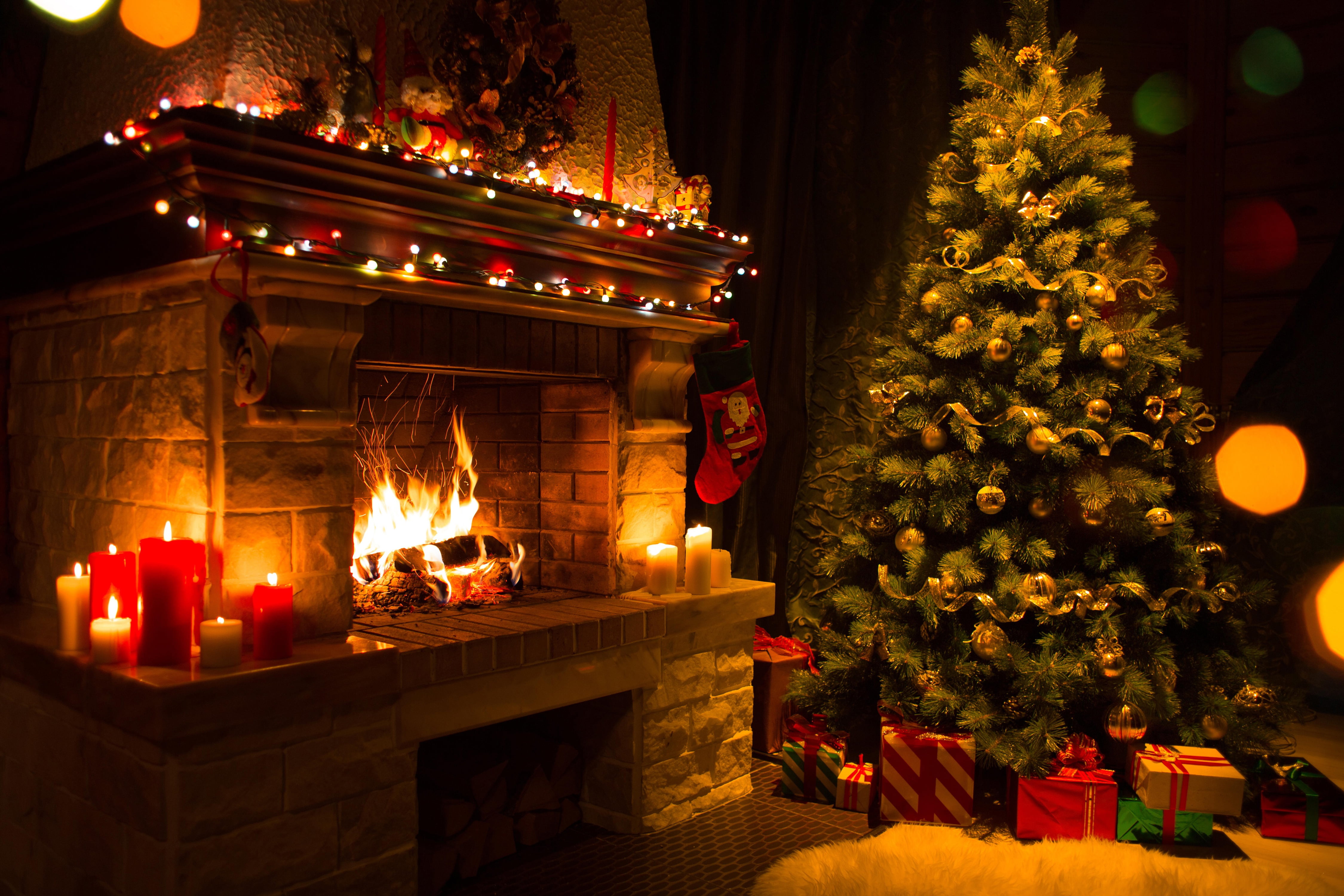 plant, illuminated, no People, New year, 4K, nature, december, candles, brown, red, garland, holiday, new Years Eve, fire - Natural Phenomenon, christmas Ornament, HD Wallpaper