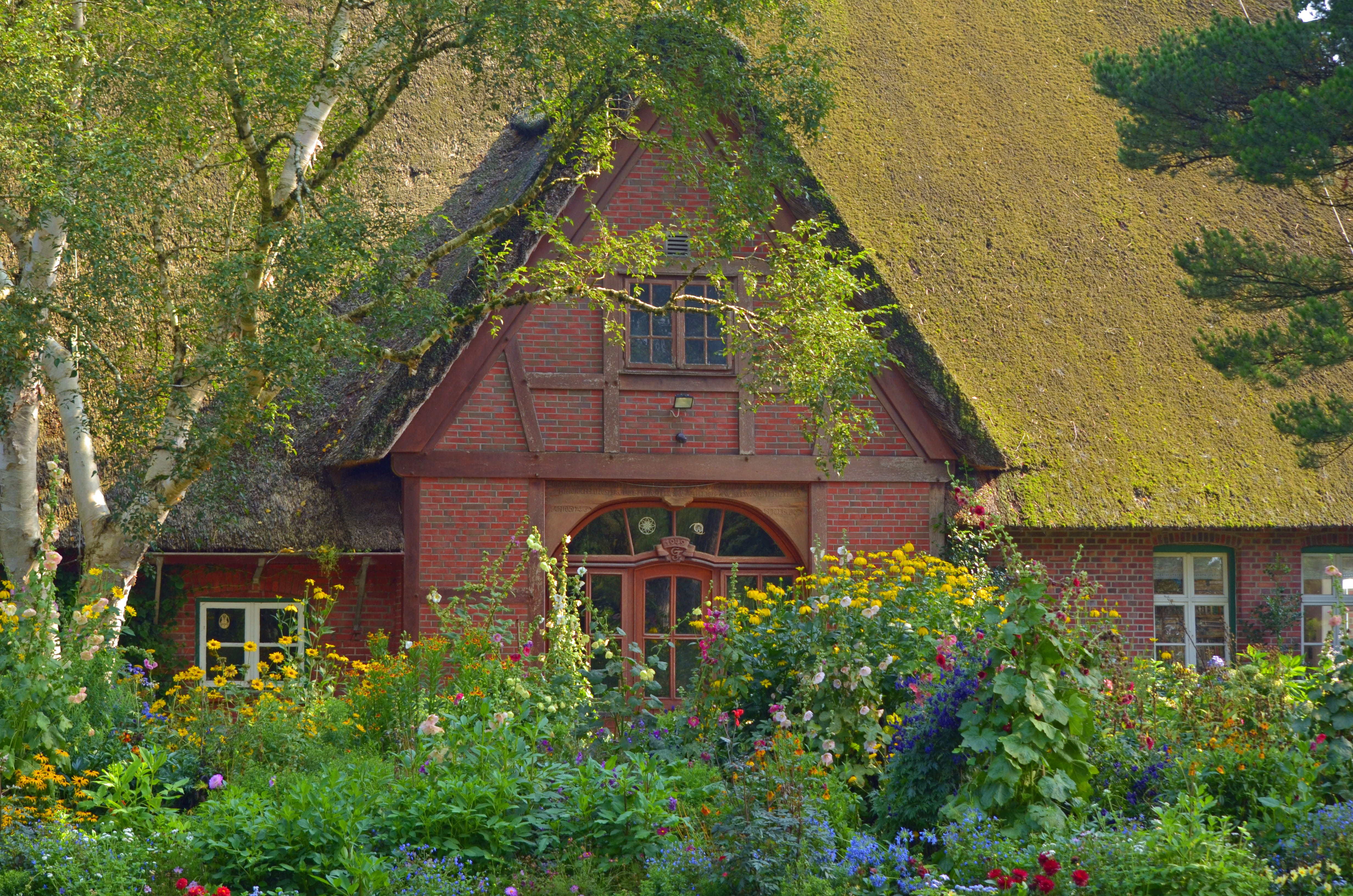 growth, rustic, flower, 4K, tree, building exterior, flowering plant, built structure, plants, agriculture, no people, residential district, green color, HD Wallpaper