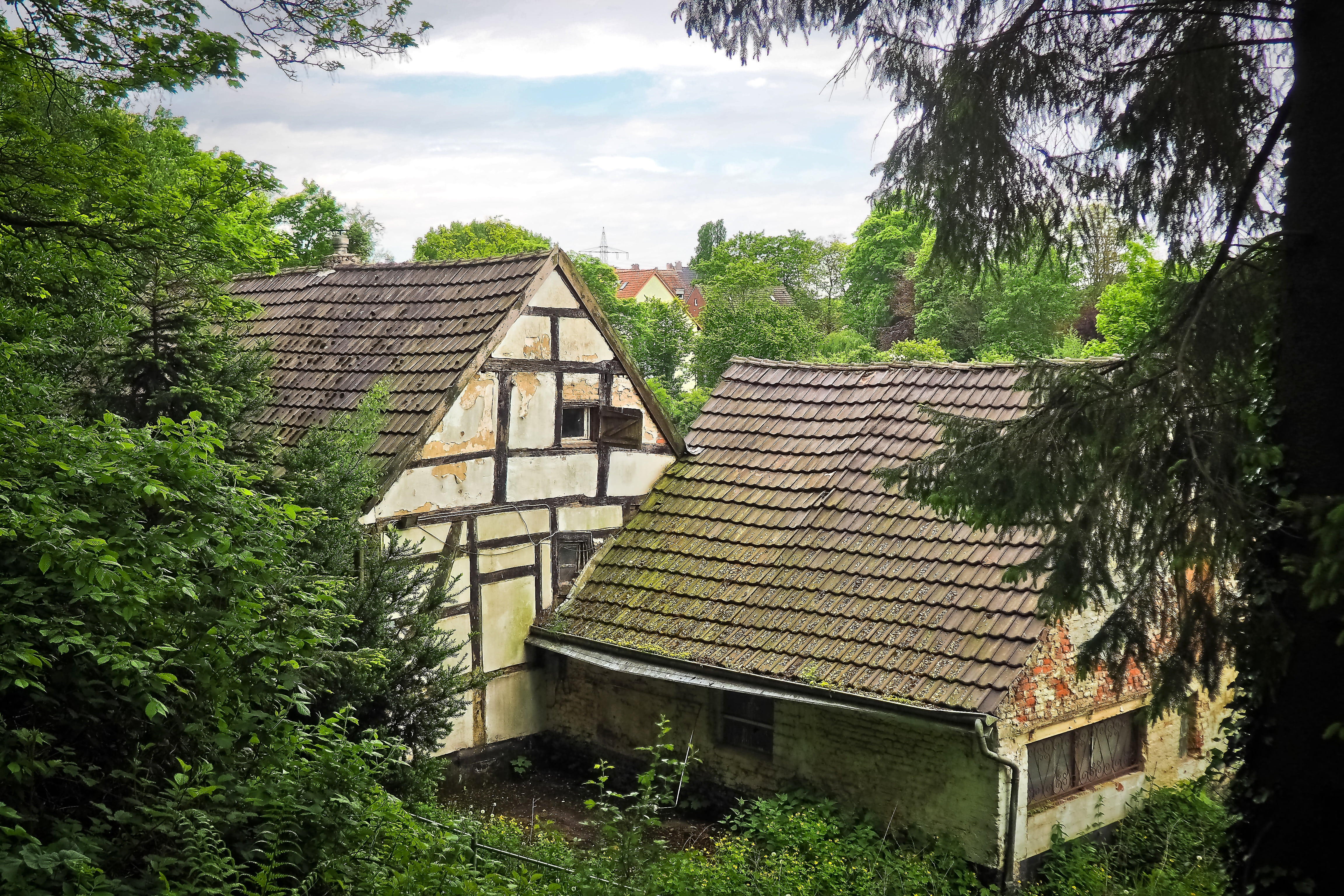 building exterior, masonry, residence, decay, built structure, mystical, 4K, plant, mysterious, outdoors, facade, dilapidated, land, passed, house, break up, HD Wallpaper