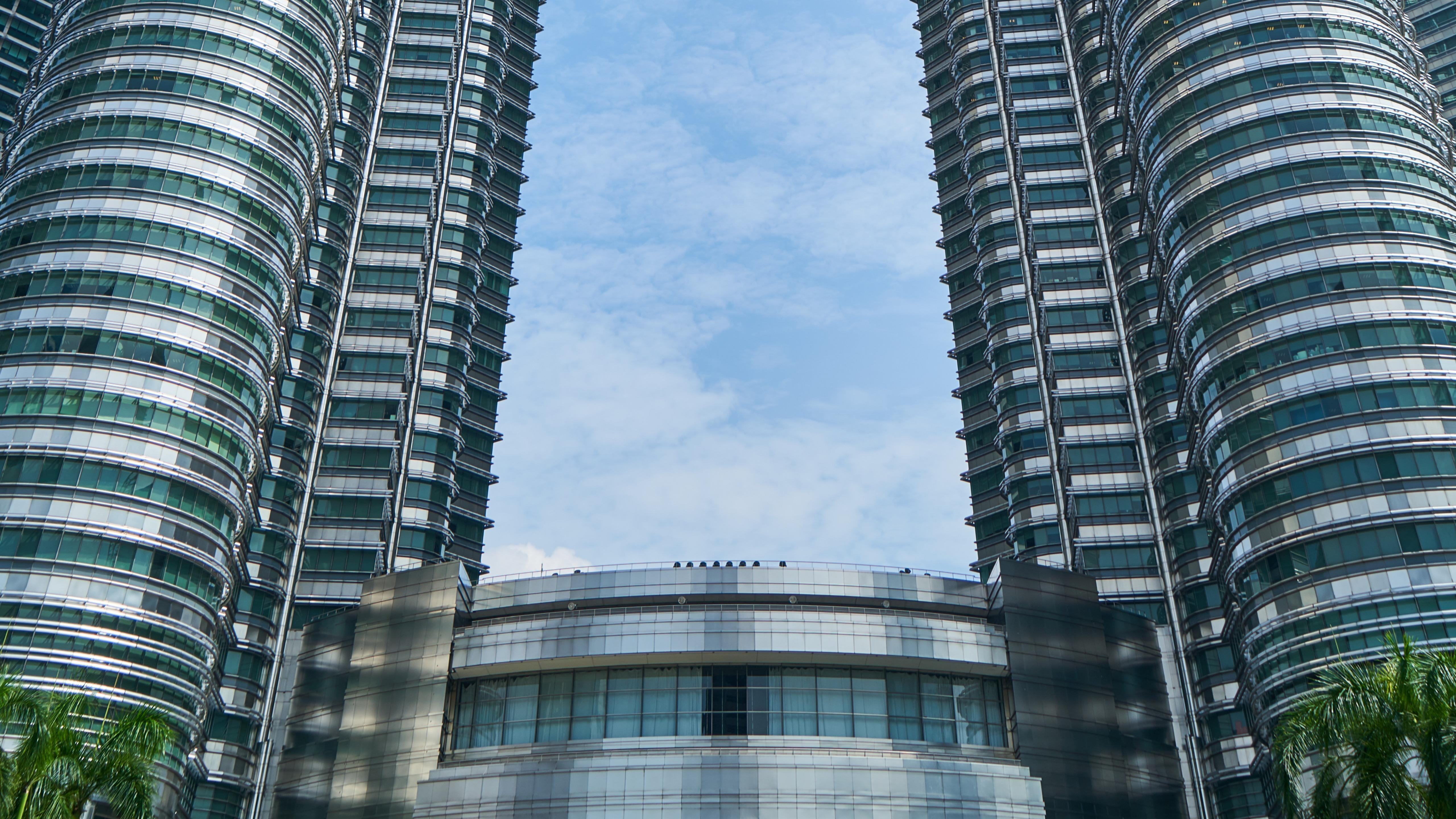 office, palm tree, financial district, postmodern, glass - material, malaysia, kuala lumpur, outdoors, windows, apartment, asia, metropolitan, concourse level, HD Wallpaper