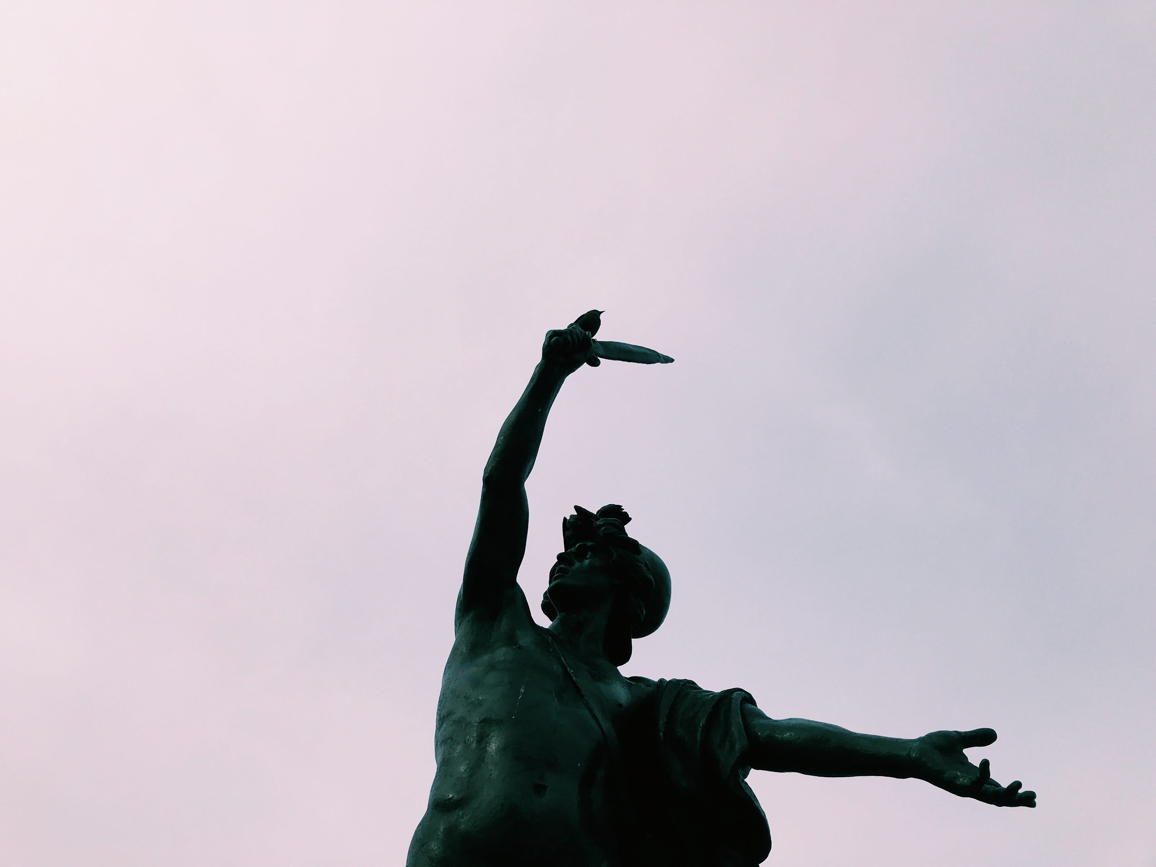 8204 music concourse dr, representation, animal wildlife, creativity, copy space, 4K, san francisco, bronze statue, bird, golden gate park, no people, HD Wallpaper
