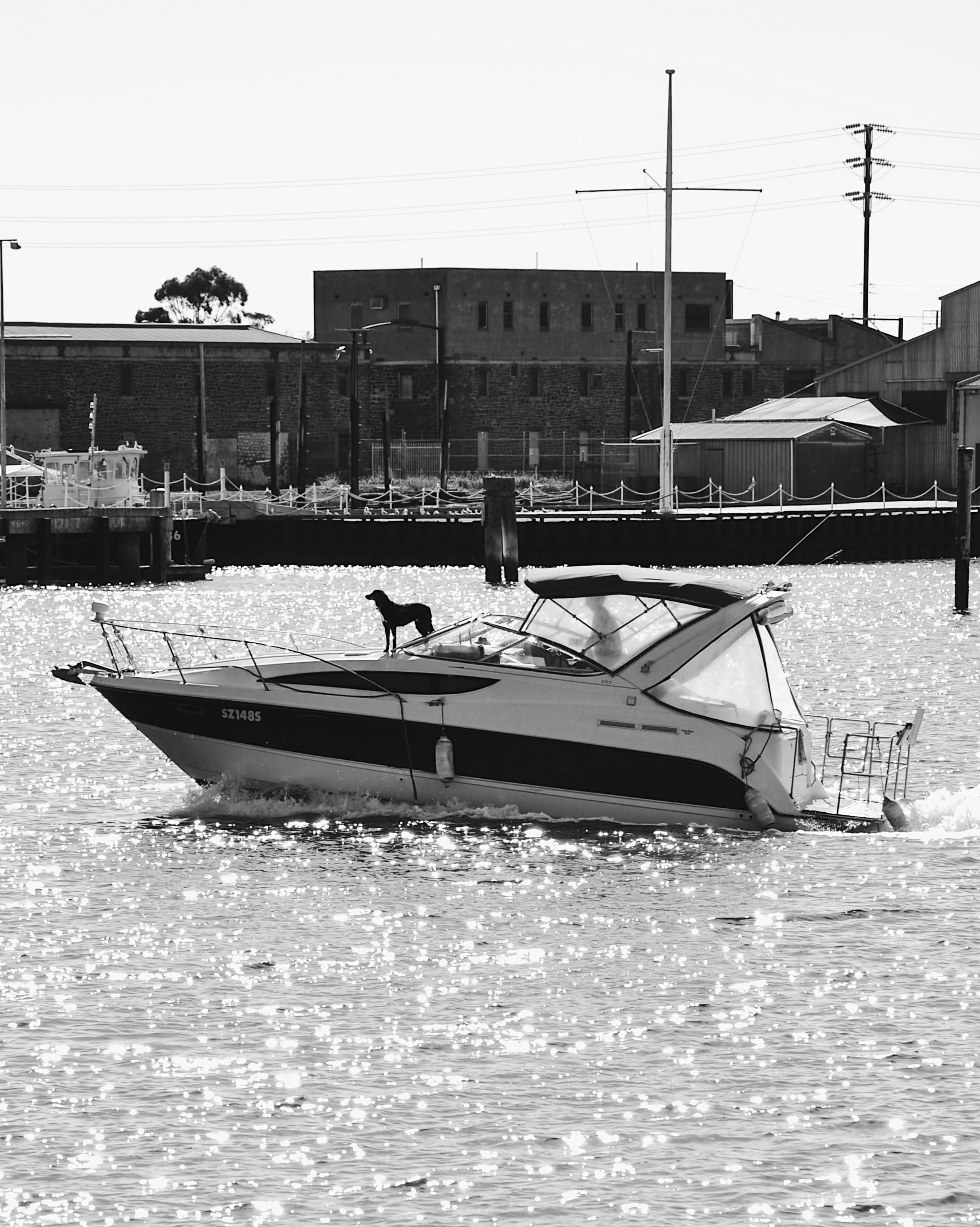 men, day, waterfront, boating, real people, moored, architecture, outdoors, nautical vessel, water, 2K, mode of transportation, black and white, sailboat, Phone HD Wallpaper
