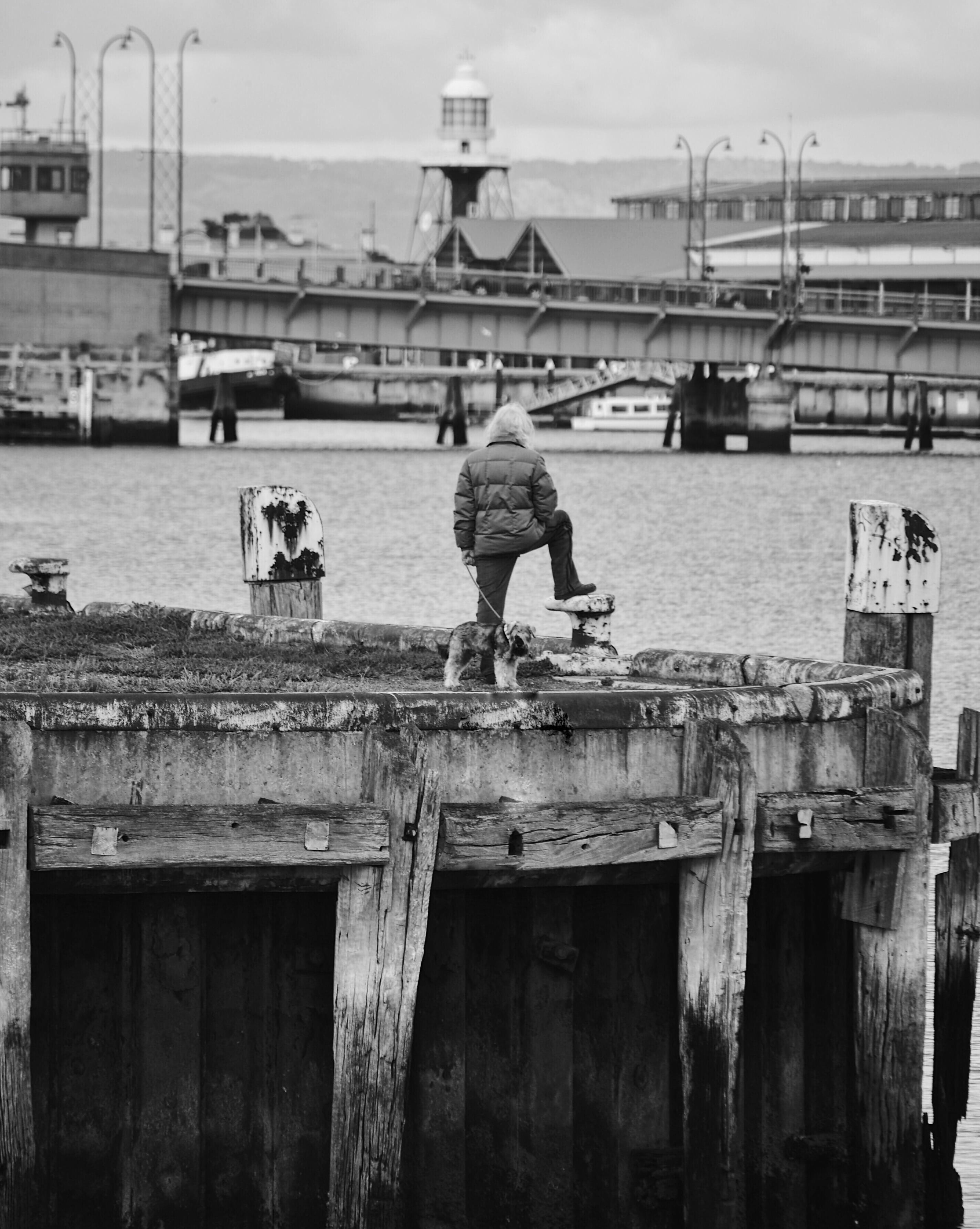 outdoors, built structure, full length, connection, birkenhead bridge, new port, real people, people, port adelaide, bridge, nature, day, its port adelaide, Phone HD Wallpaper