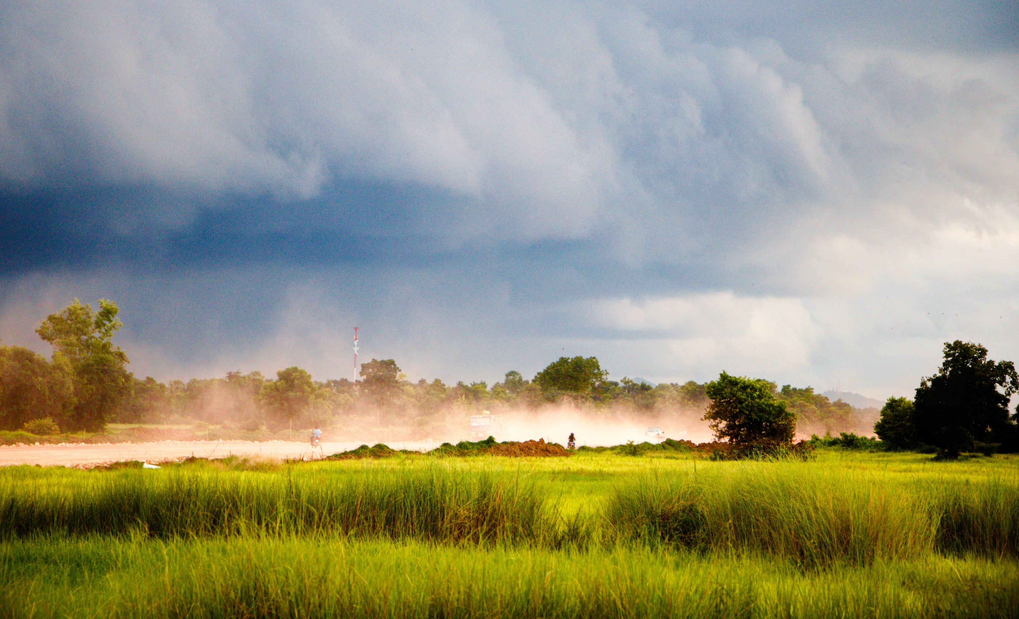st 213, growth, land, grass, green color, 4K, blue, plant, tranquil scene, people, rural scene, dusty, beauty in nature, tranquility, cambodia, scenics - nature, HD Wallpaper