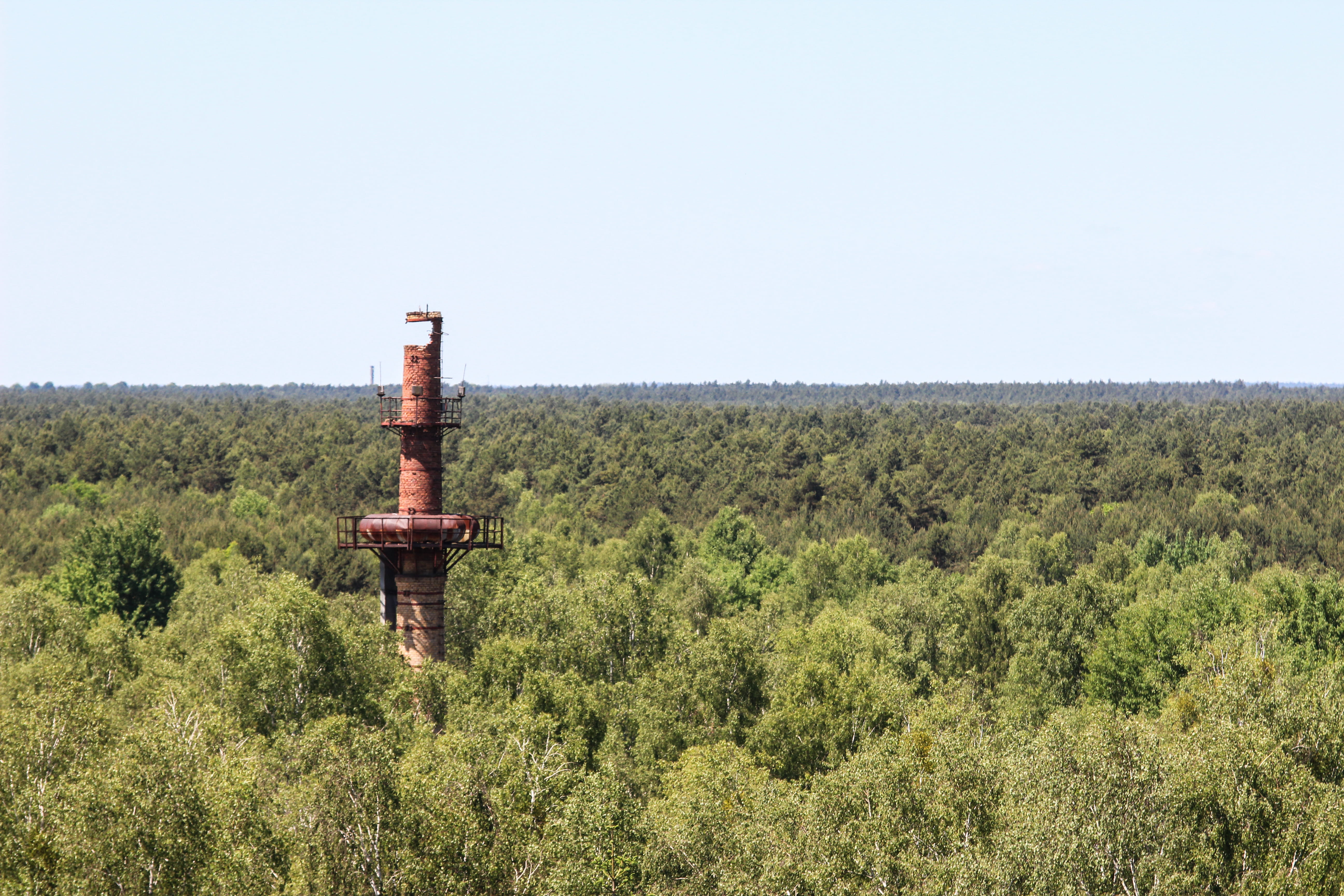 pollution, forest, plant, abandoned, broken, environment, brickstone, land, tranquility, bush, nature, germany, hydrant, day, no people, woodland, old, HD Wallpaper