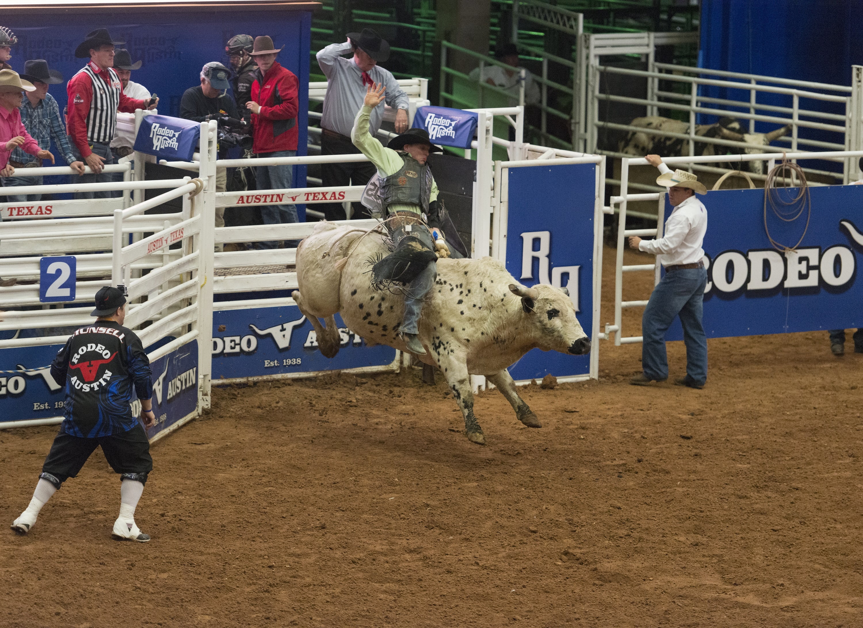 communication, leisure activity, cattle, clown, dangerous, lifestyles, rides, steer, vertebrate, mammal, rank, bull, arena, bull riding, rope, group of people, HD Wallpaper