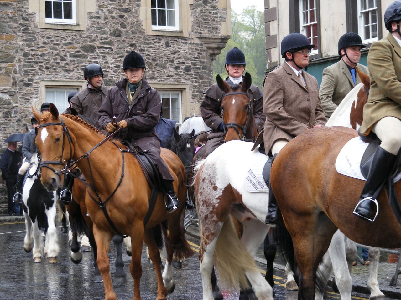 city, rider, day, group of people, animal wildlife, pets, built structure, horses, outdoors, mammal, equine, scotland, horse, government, 720P, domestic animals, HD Wallpaper