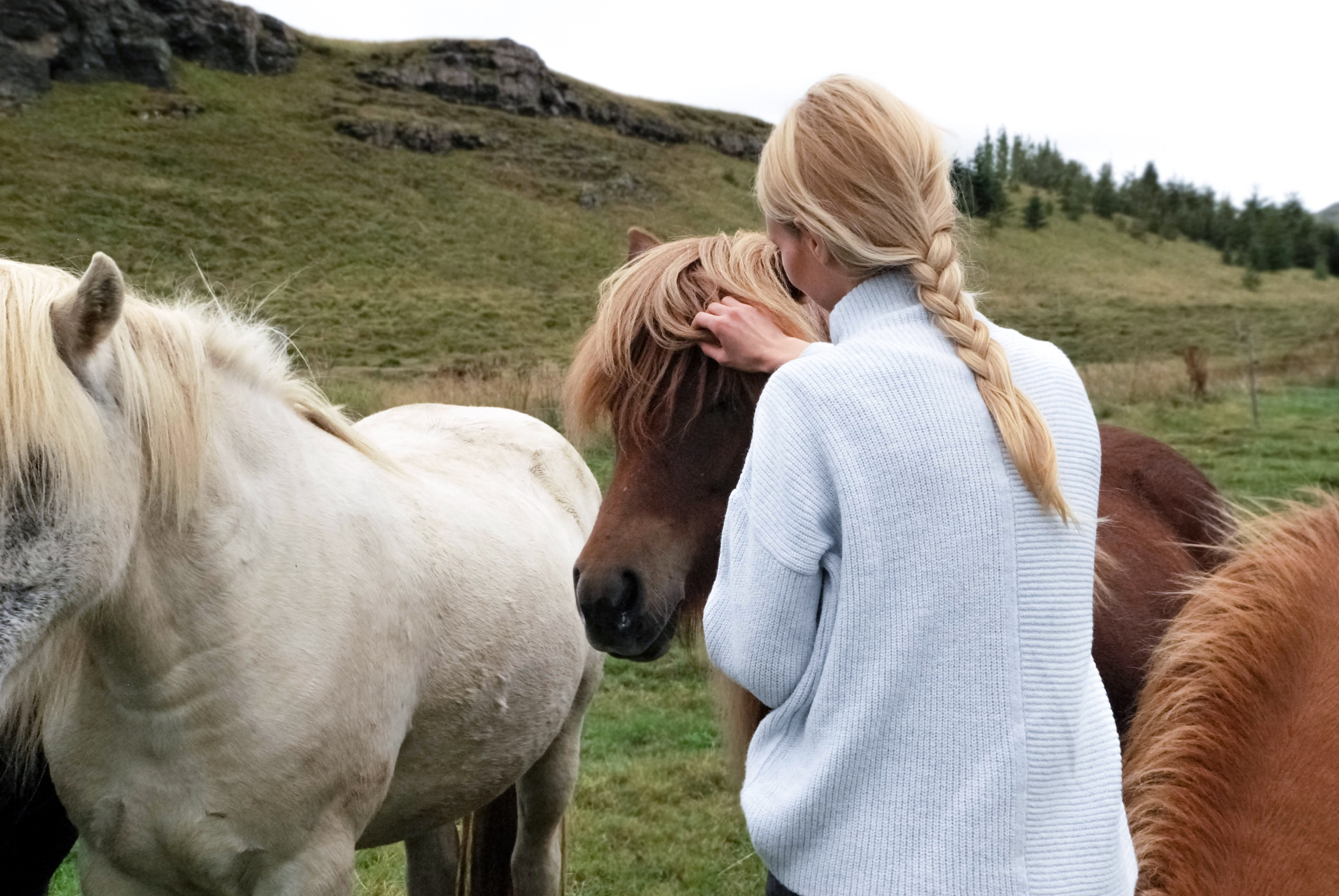 horses, adult, equine, women, landscape, casual clothing, equestrian, farm, positive emotion, person, 4K, field, mammal, cavalry, togetherness, leisure activity, HD Wallpaper