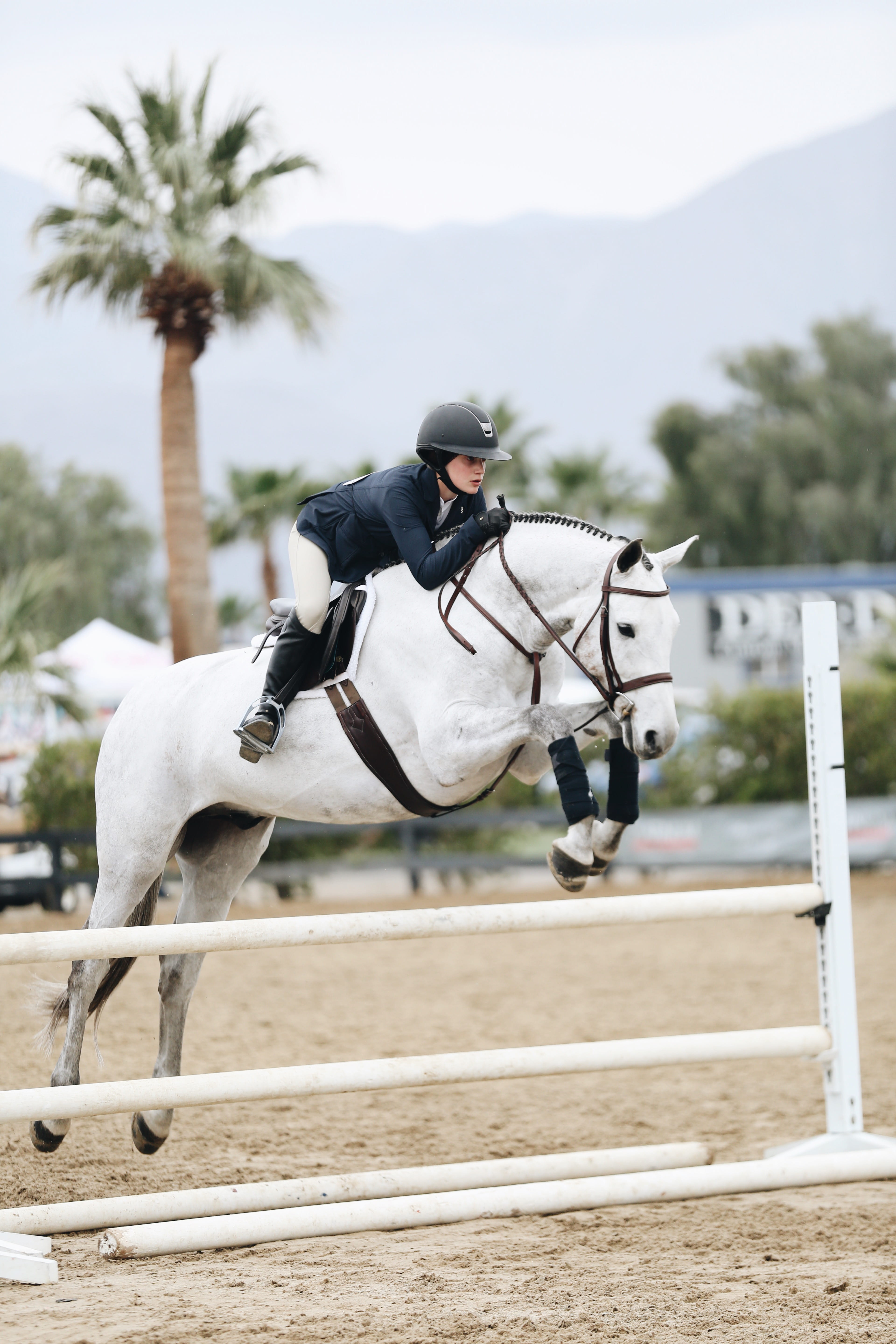 woman, action, herbivorous, nature, vertebrate, day, horseback riding, horse rider, white horse, blurred background, sport, wear, stallion, equine, show, Phone HD Wallpaper