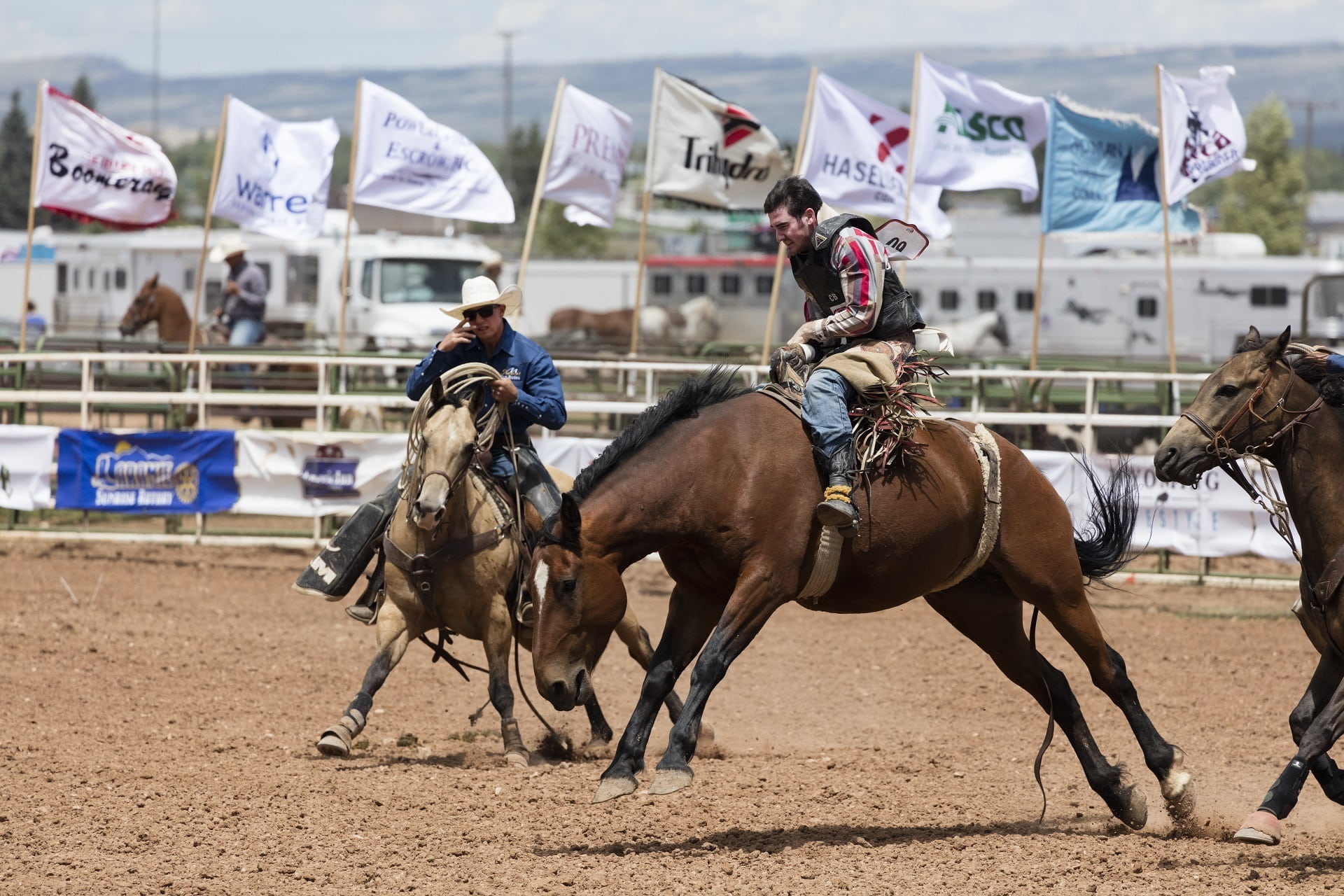 outdoors, pets, focus on foreground, real people, horseback riding, brown, saddle, domestic, activity, domestic animals, animal wildlife, rodeo, 1080P, HD Wallpaper