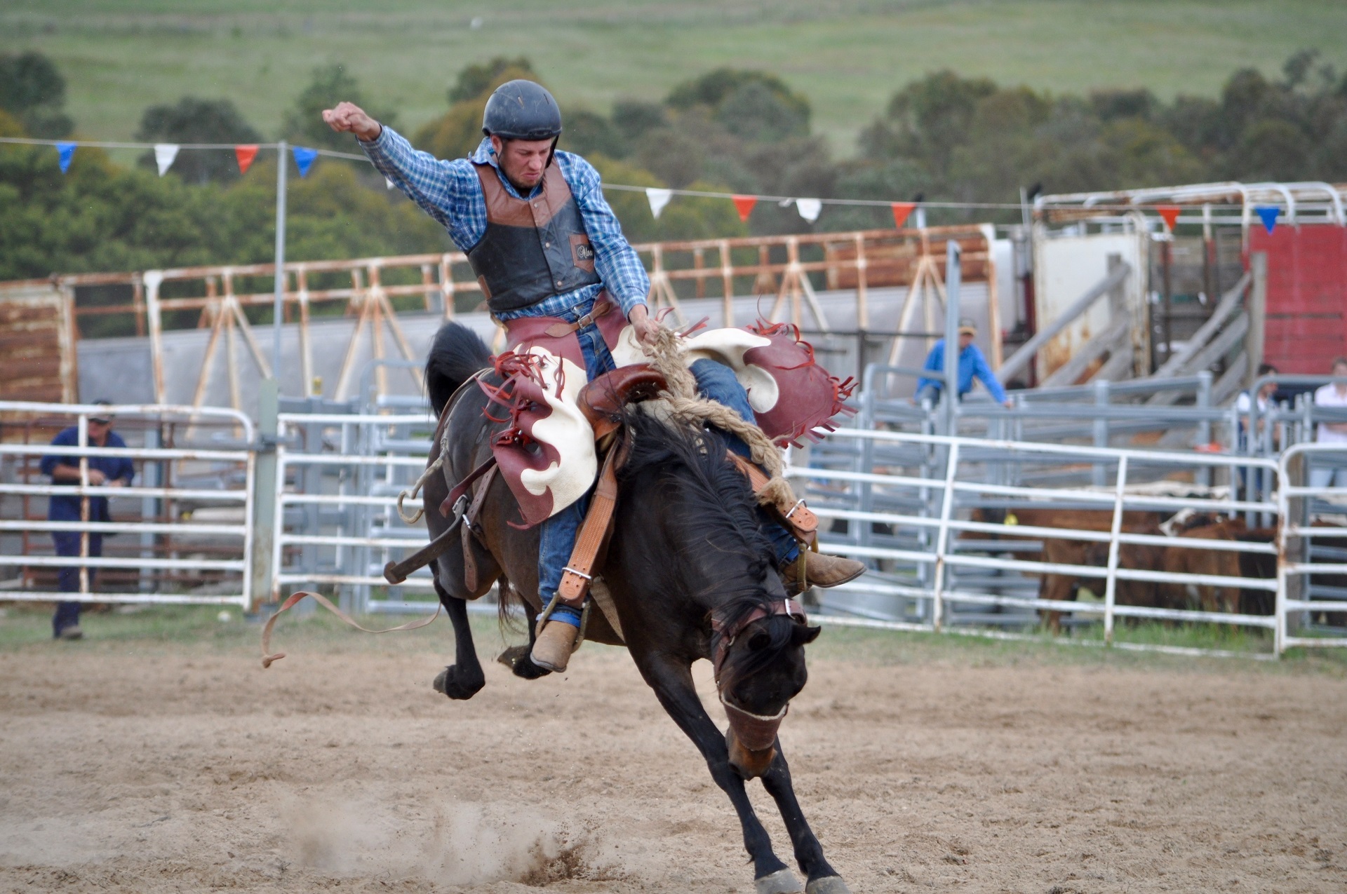 animal wildlife, bronco, equestrian Event, competitive Sport, bronc rider, riding, animal Sport, sports Venue, man, dust, full length, horse, herbivorous, HD Wallpaper