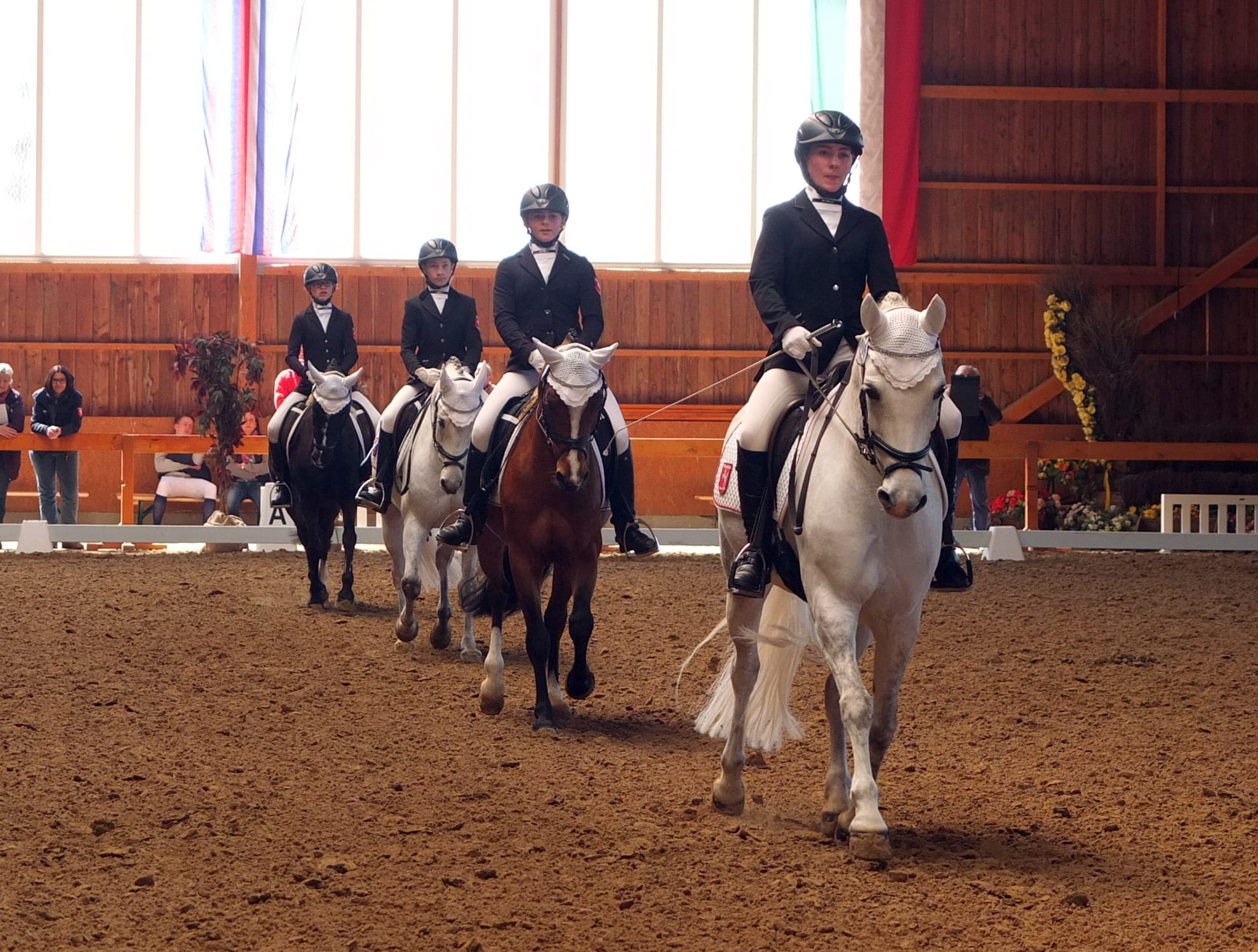 Dressage, Equestrian, group of animals, domestic, people, competition, domestic animals, architecture, vertebrate, animal, sport, animal themes, real people, HD Wallpaper