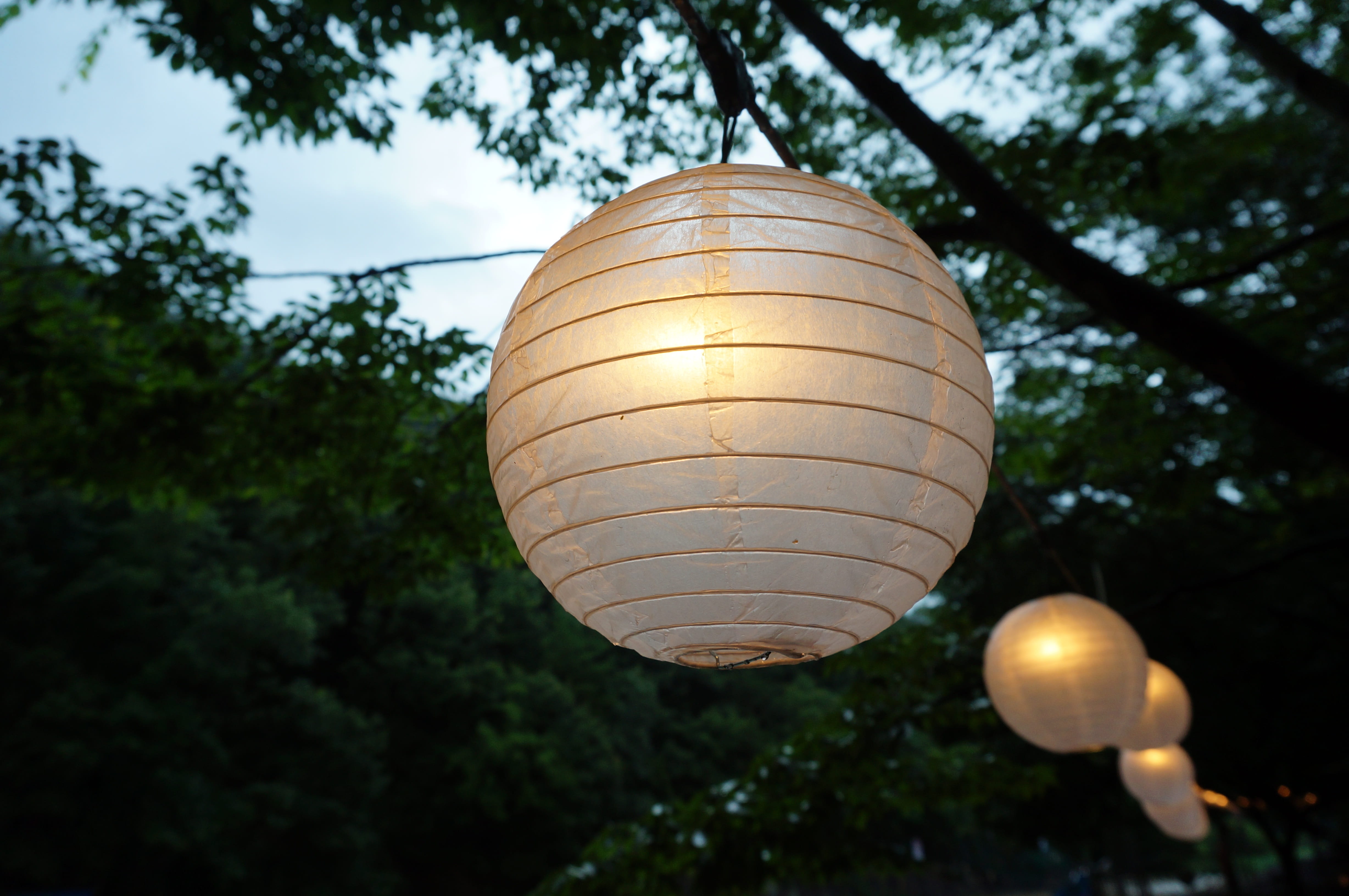 republic of korea, lantern views, celebration, day, nature, illuminated, 4K, decoration, festival, vary festival not jogakbae, focus on foreground, no people, HD Wallpaper