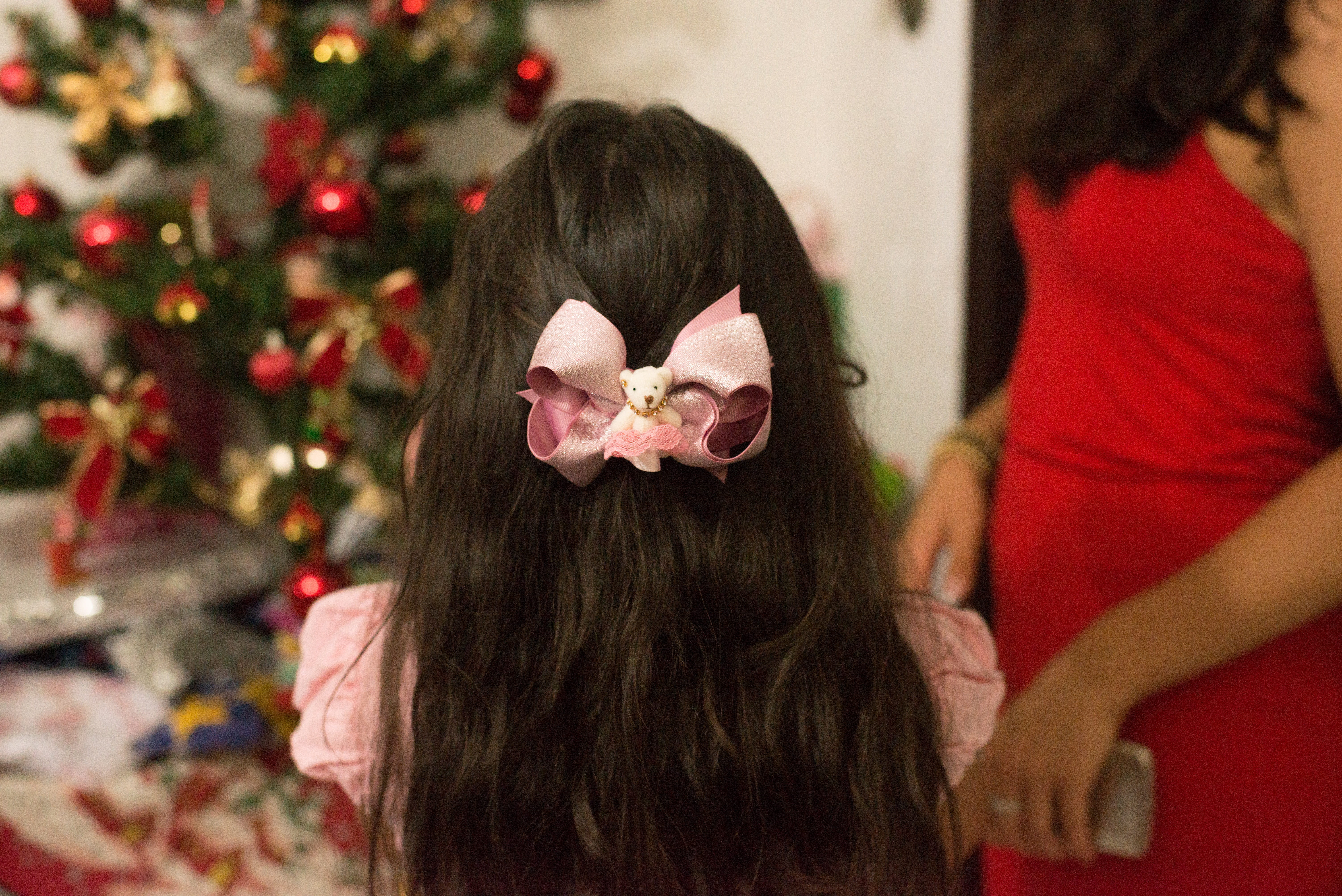 decoration, adult, scarf, females, tree, head, indoors, person, hairstyle, holiday, portrait, positive emotion, party hat, hair, plant, daughter, rear view, HD Wallpaper